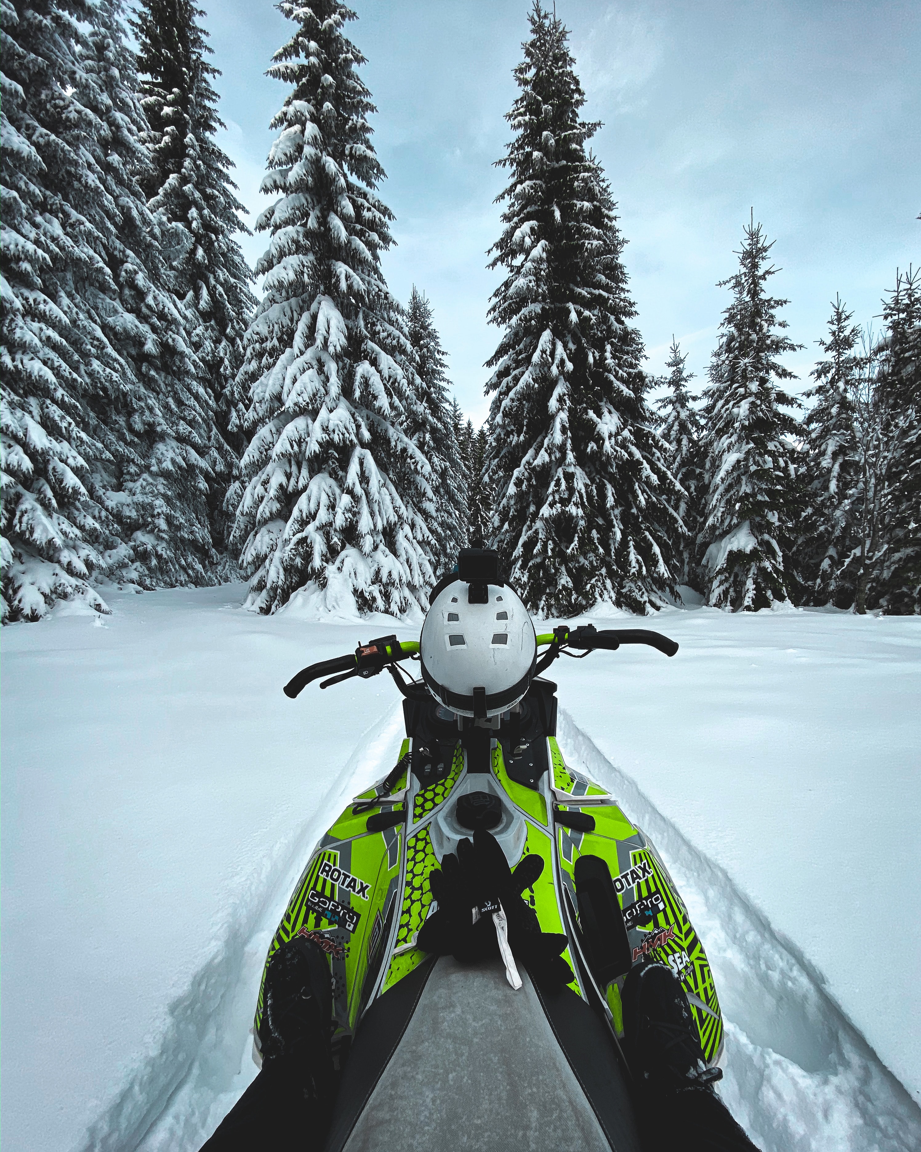sports, winter, trees, snow, snowmobile