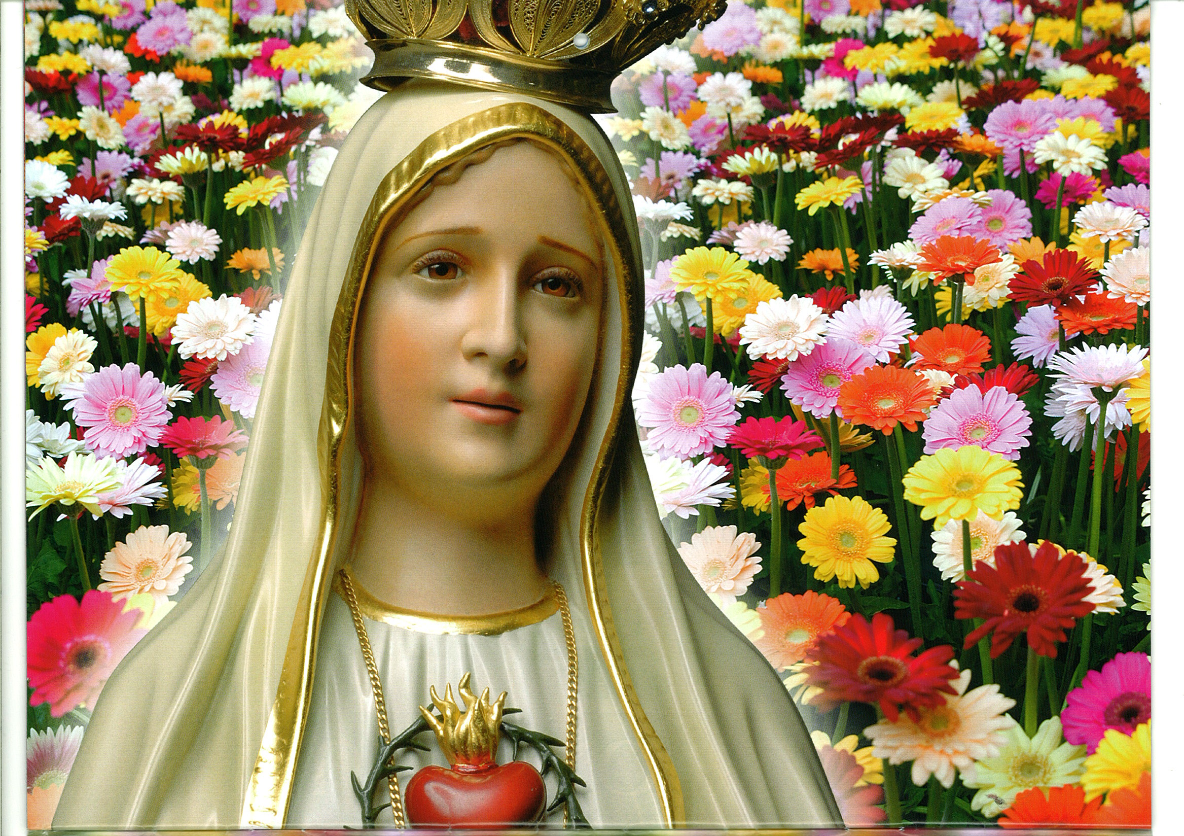 657473壁紙のダウンロード宗教的, メアリー, マリア（イエスの母）, ファティマの聖母-スクリーンセーバーと写真を無料で