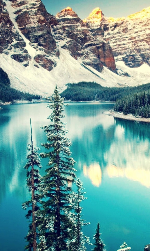 Скачать картинку Озера, Гора, Озеро, Отражение, Канада, Лес, Земля/природа, Озеро Морейн в телефон бесплатно.