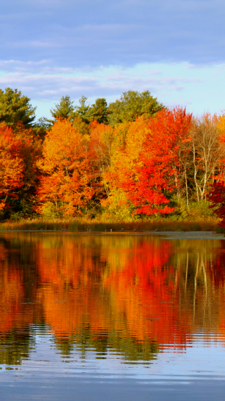 Скачать картинку Осень, Озеро, Отражение, Земля, Падать, Земля/природа в телефон бесплатно.