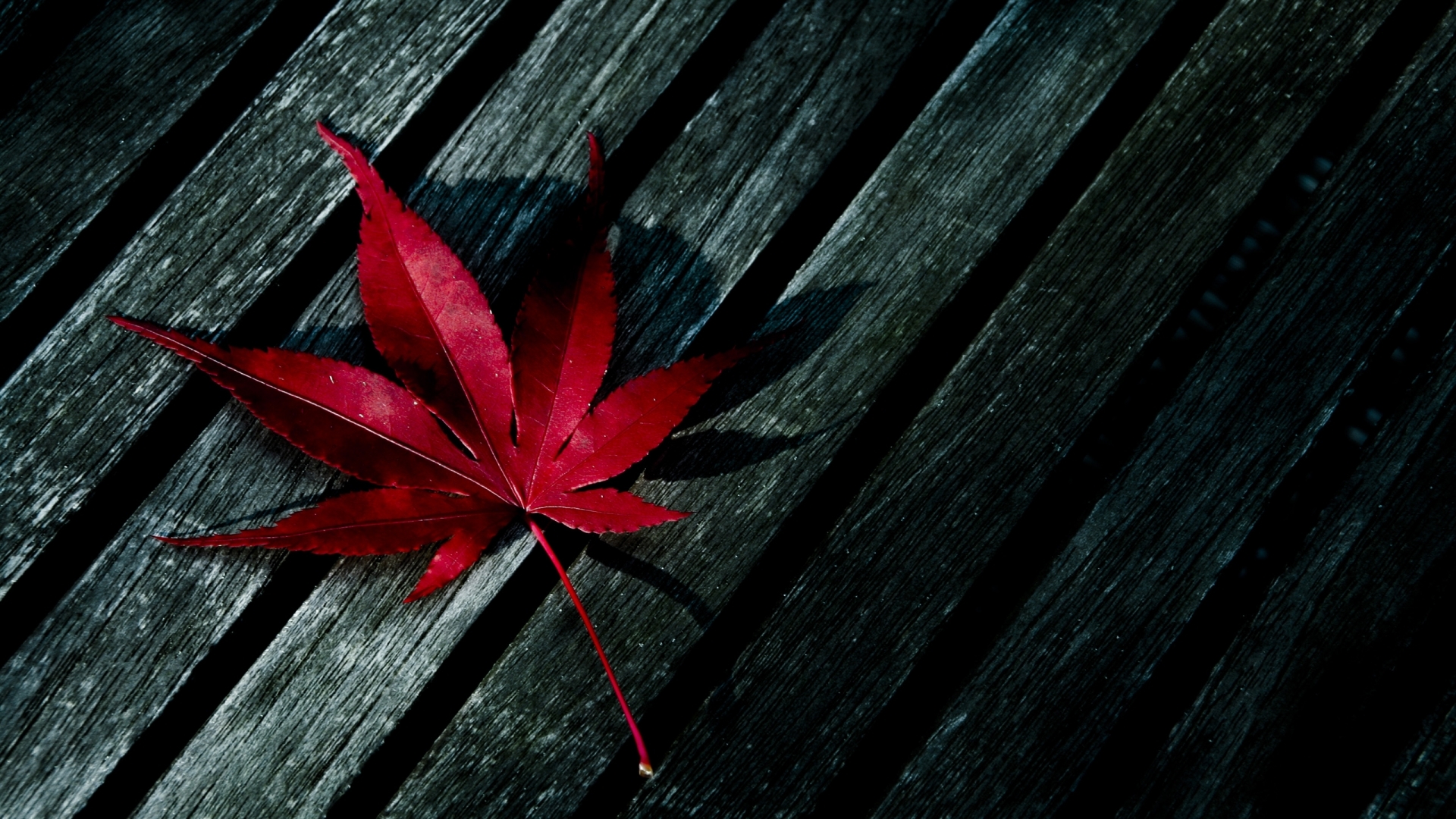 Free download wallpaper Leaves, Background on your PC desktop