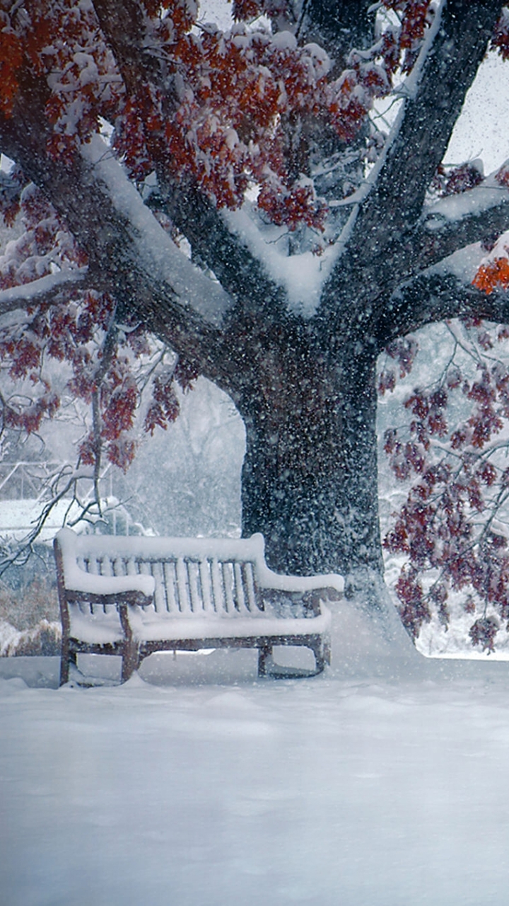 Download mobile wallpaper Winter, Snow, Park, Tree, Earth, Bench, Photography, Snowfall for free.