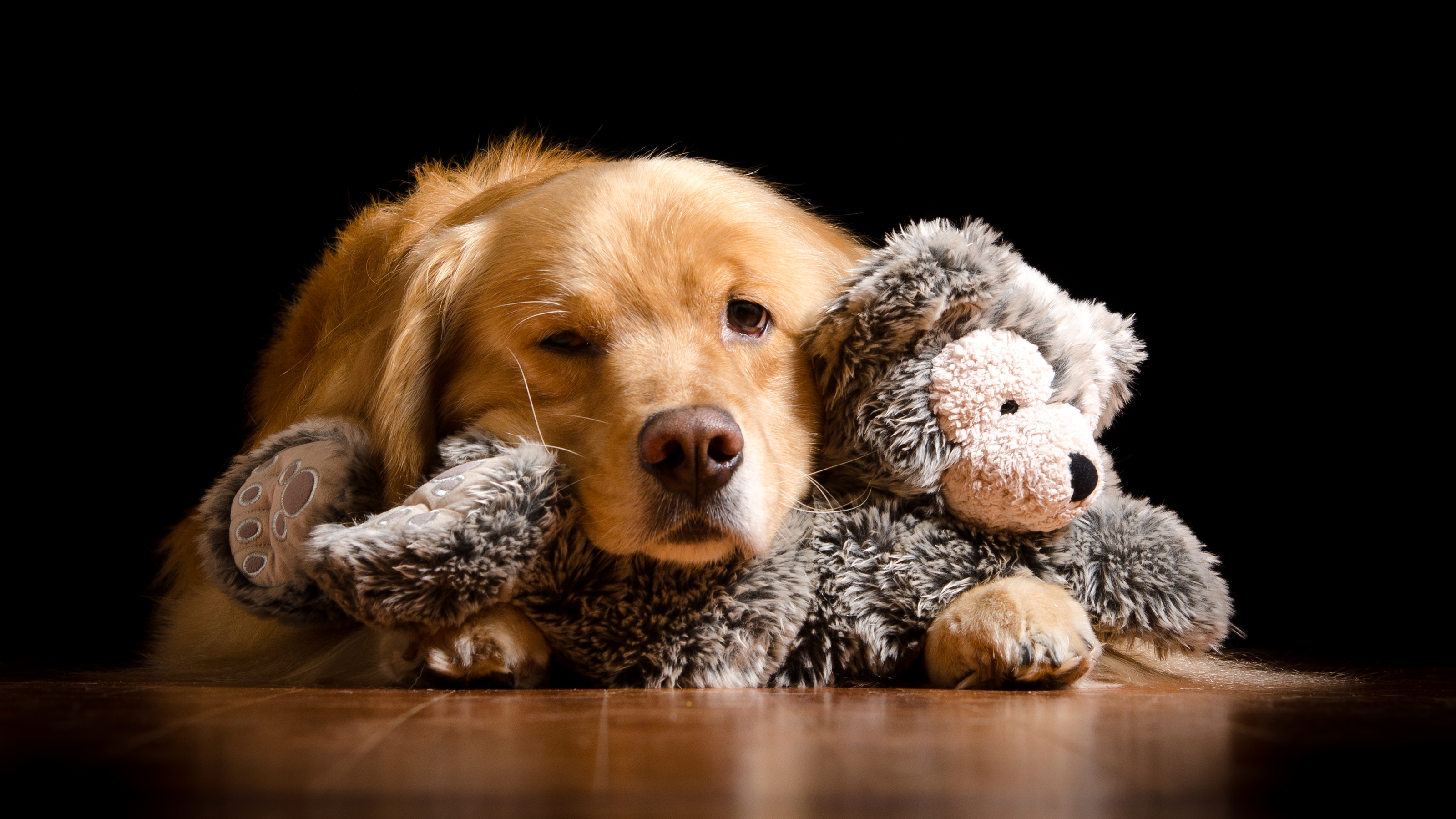 Download mobile wallpaper Dogs, Dog, Animal, Golden Retriever, Stuffed Animal for free.