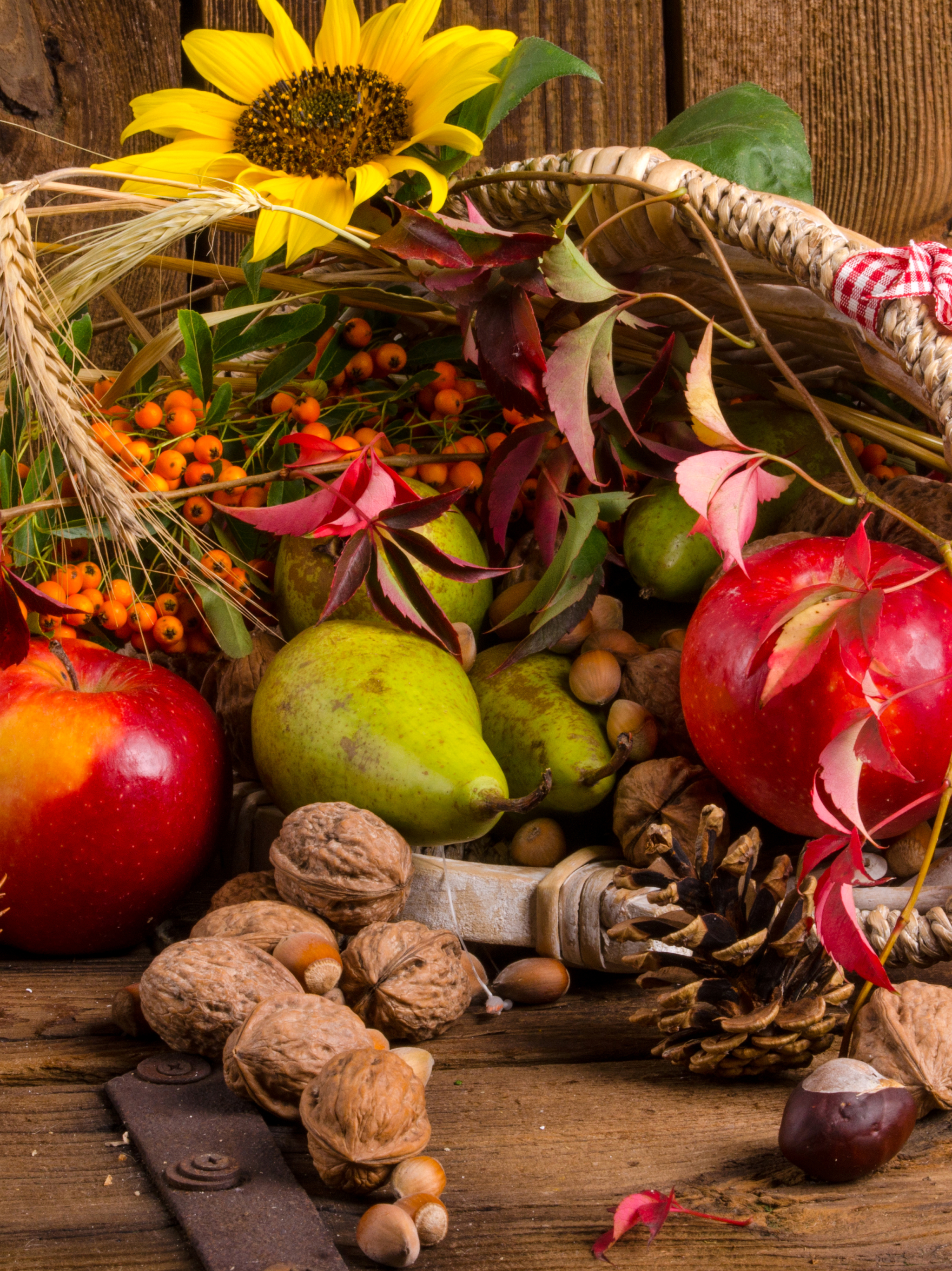 Download mobile wallpaper Food, Still Life, Fall, Nut for free.