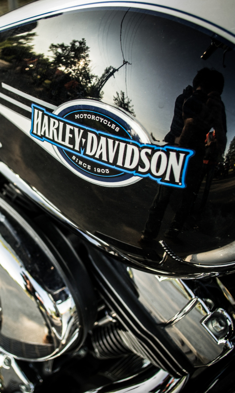 Скачати мобільні шпалери Мотоцикли, Харлі Девідсон, Транспортні Засоби безкоштовно.