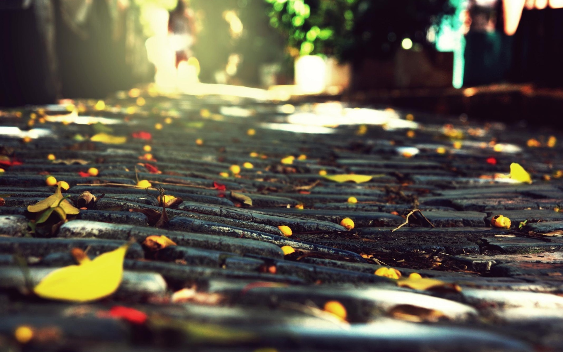 Free download wallpaper Fall, Photography on your PC desktop