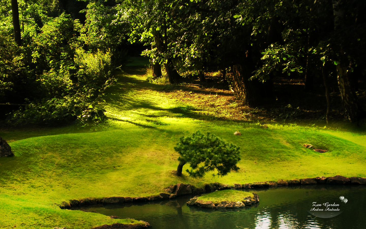 Descarga gratis la imagen Árbol, Tierra/naturaleza en el escritorio de tu PC