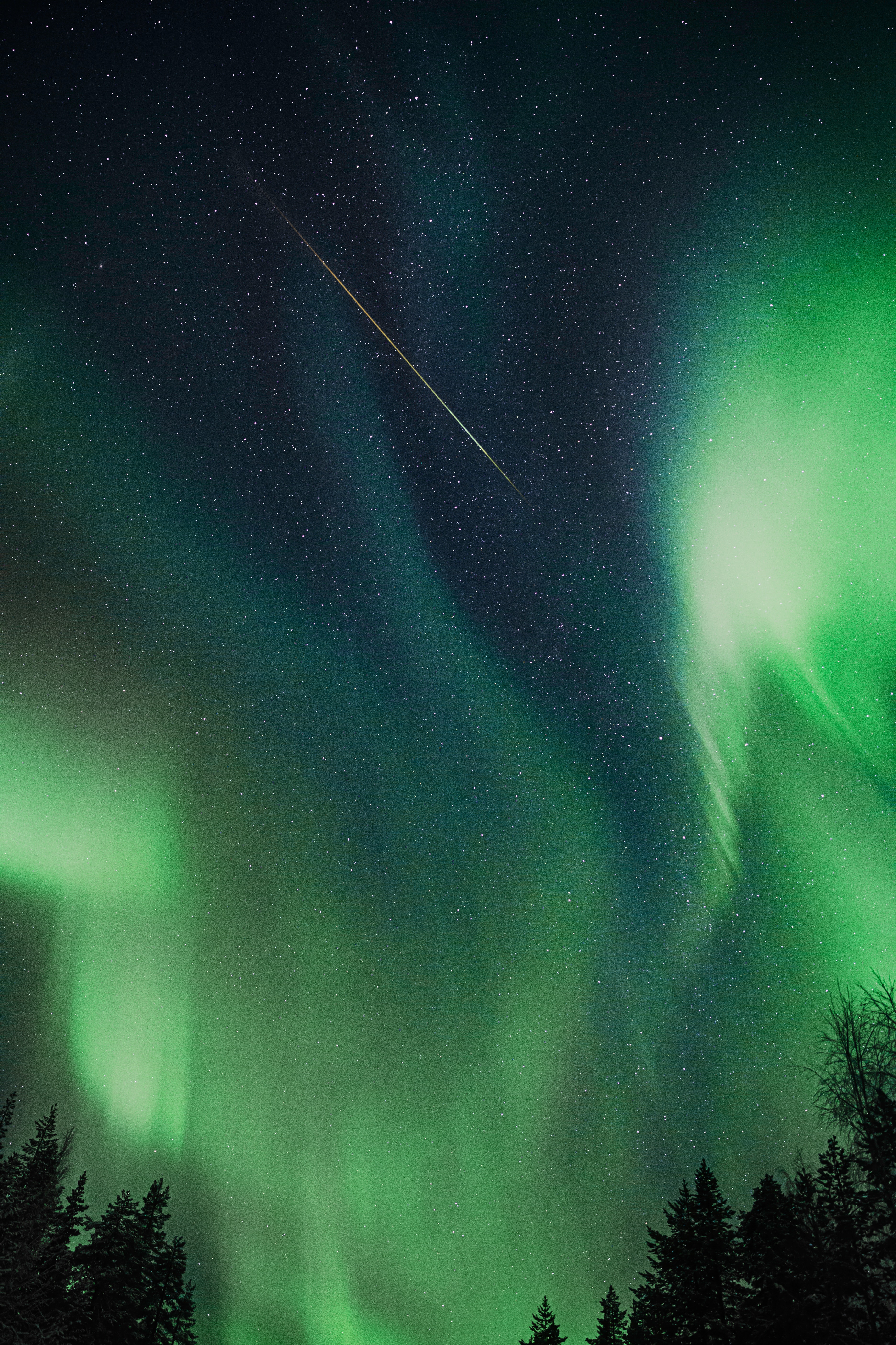 aurora borealis, aurora, northern lights, sky, nature, trees, night Full HD