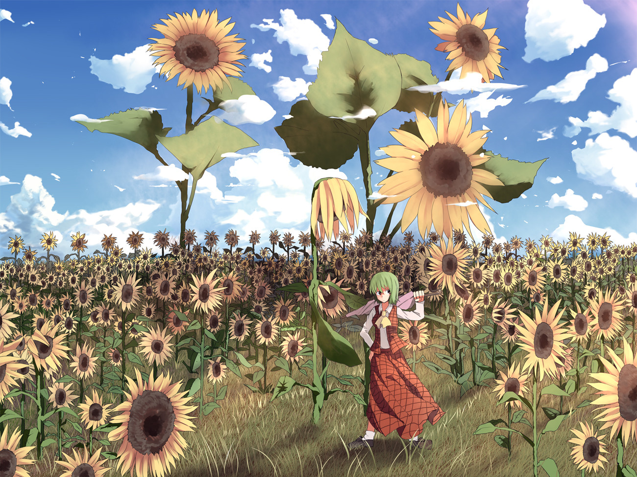 Free download wallpaper Anime, Touhou, Yuuka Kazami on your PC desktop