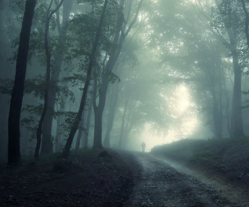 Handy-Wallpaper Wald, Düster kostenlos herunterladen.