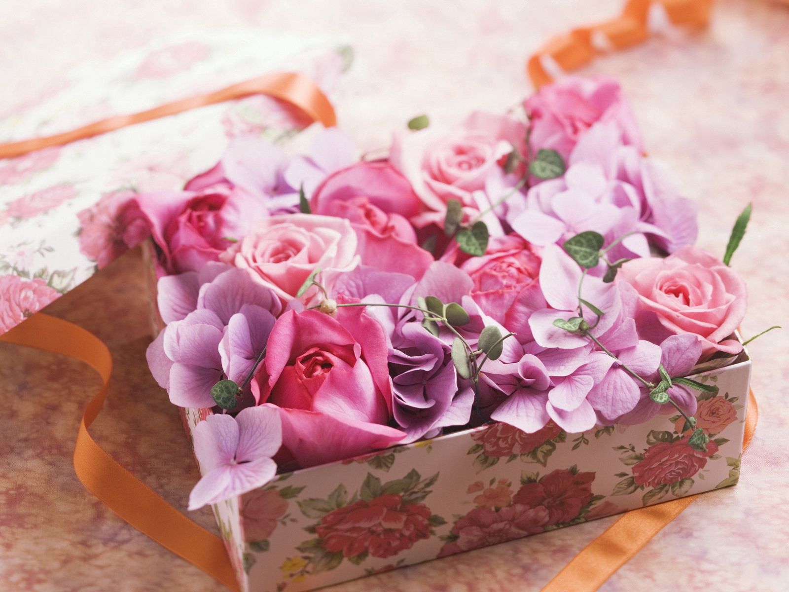 flowers, roses, box, present, gift, tape, capsule Smartphone Background