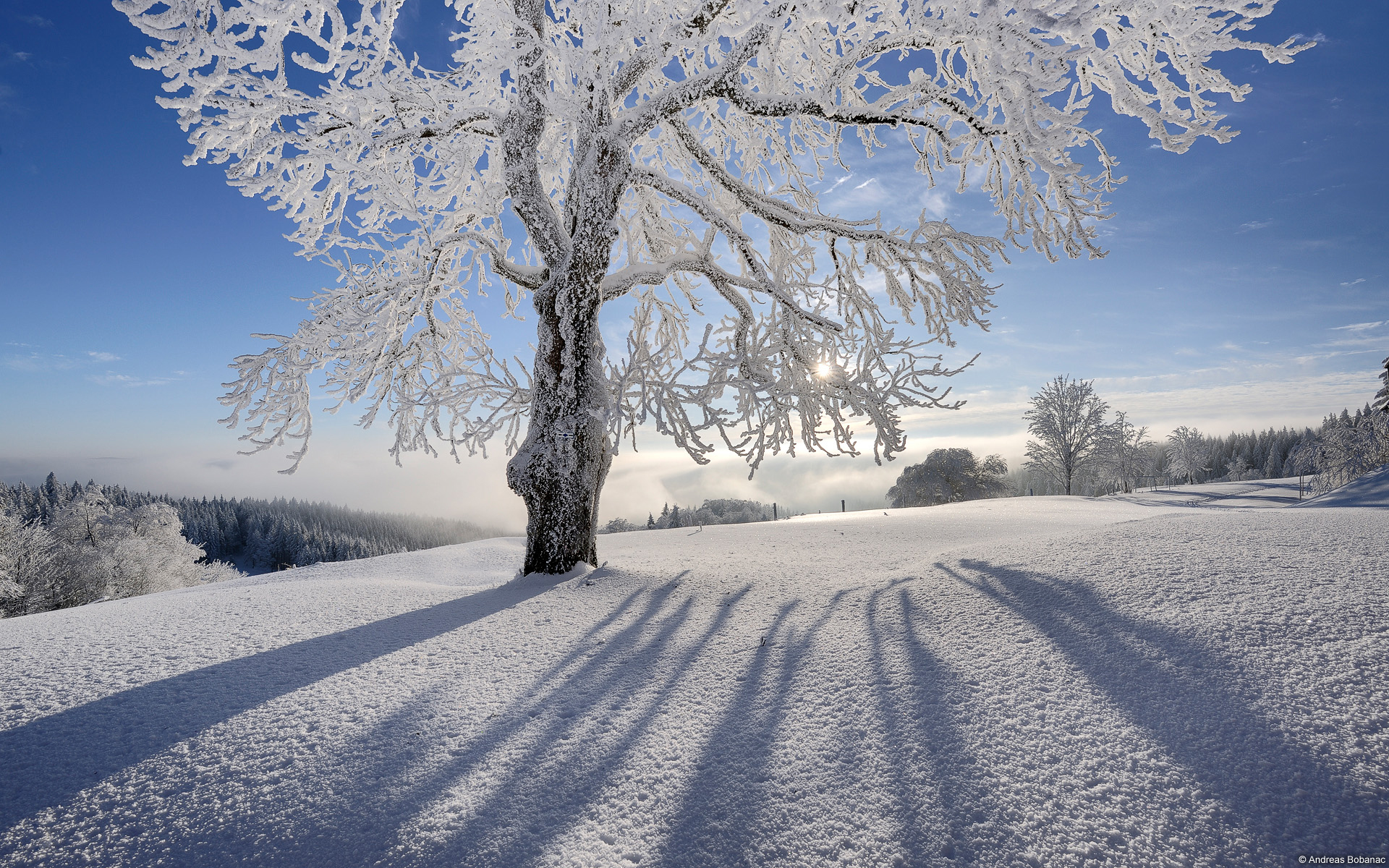 Téléchargez gratuitement l'image Hiver, Terre/nature sur le bureau de votre PC