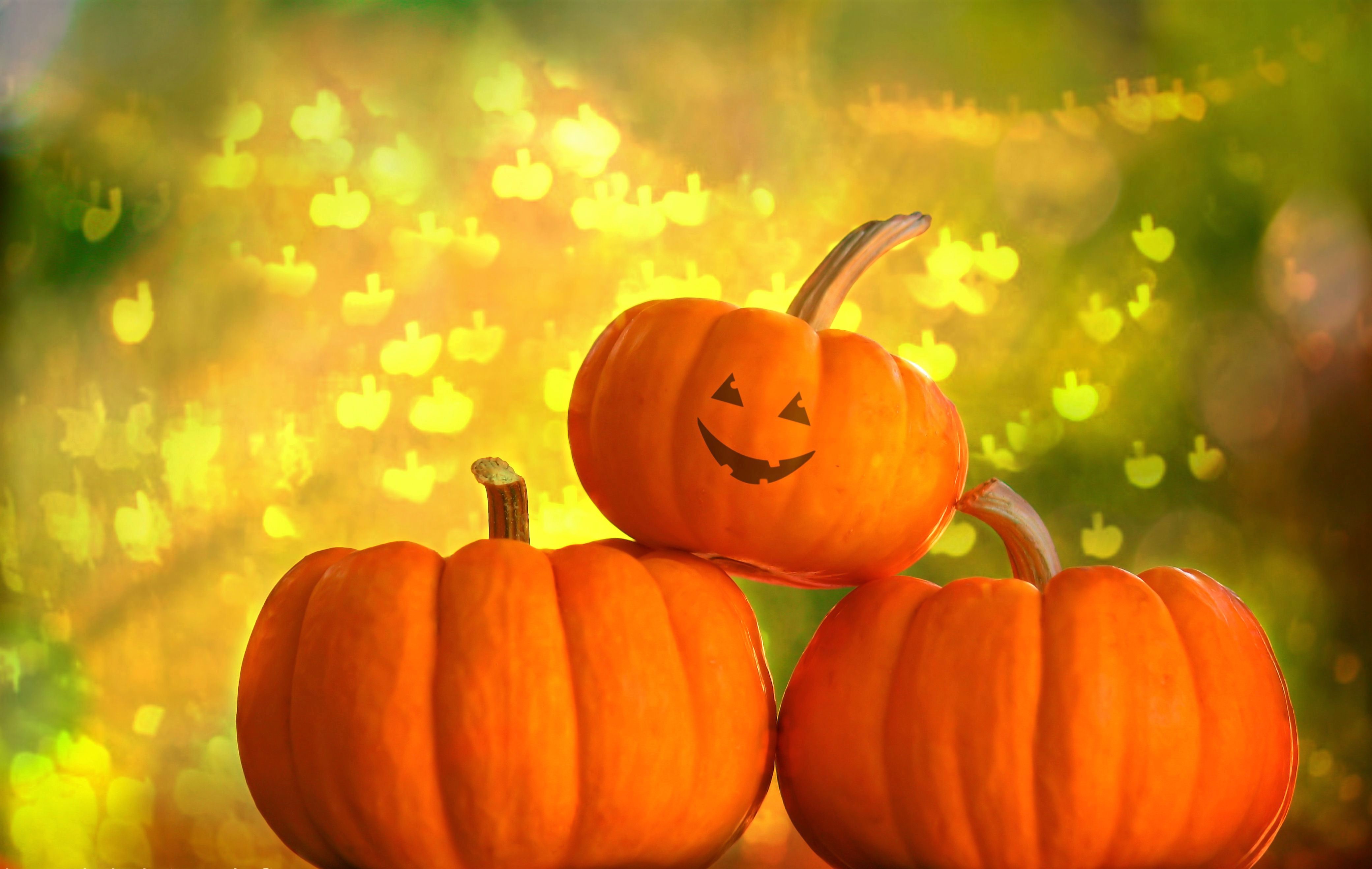 Laden Sie das Feiertage, Halloween, Kürbis, Lächeln, Gesicht-Bild kostenlos auf Ihren PC-Desktop herunter