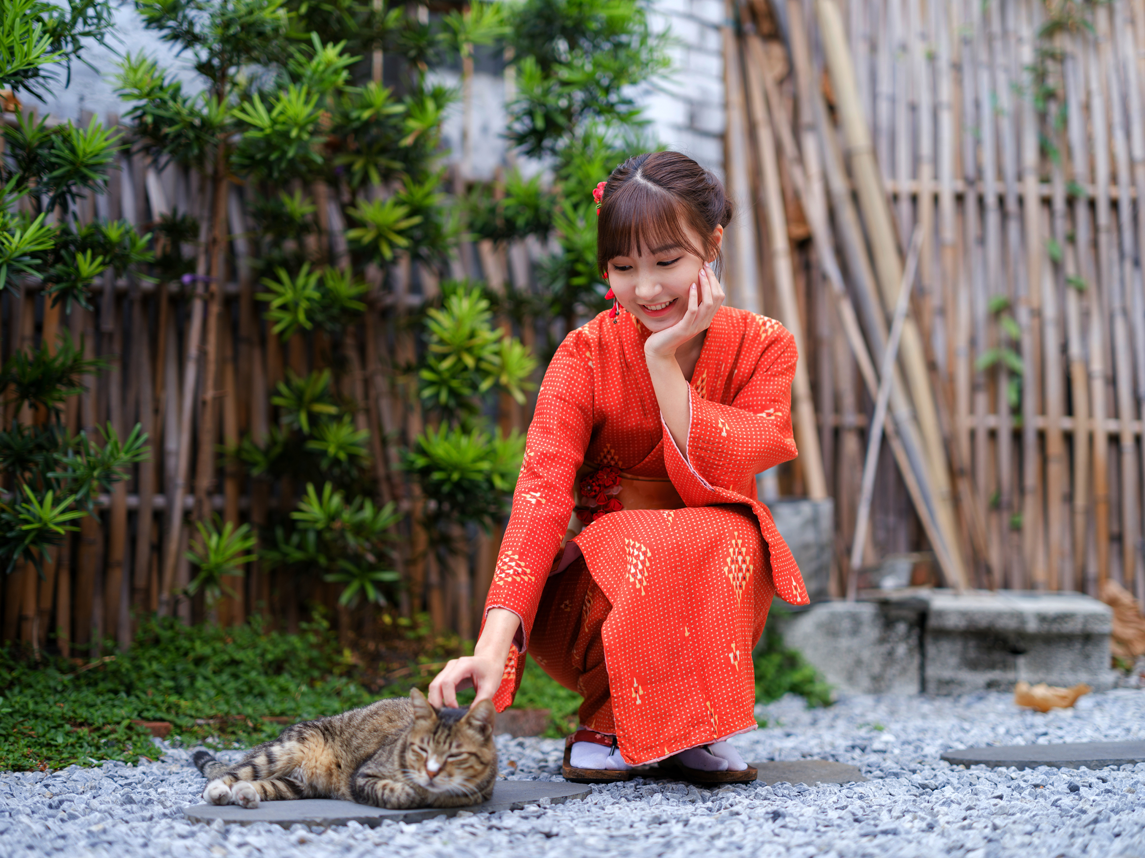 Download mobile wallpaper Cat, Kimono, Women, Asian for free.