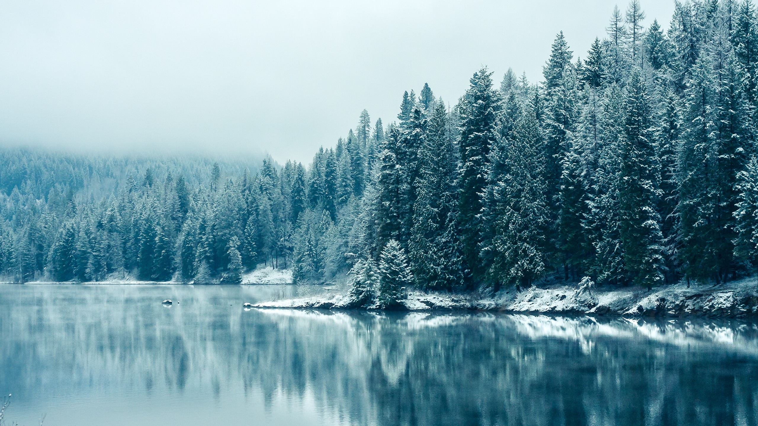 Descarga gratuita de fondo de pantalla para móvil de Tierra/naturaleza, Reflejo.