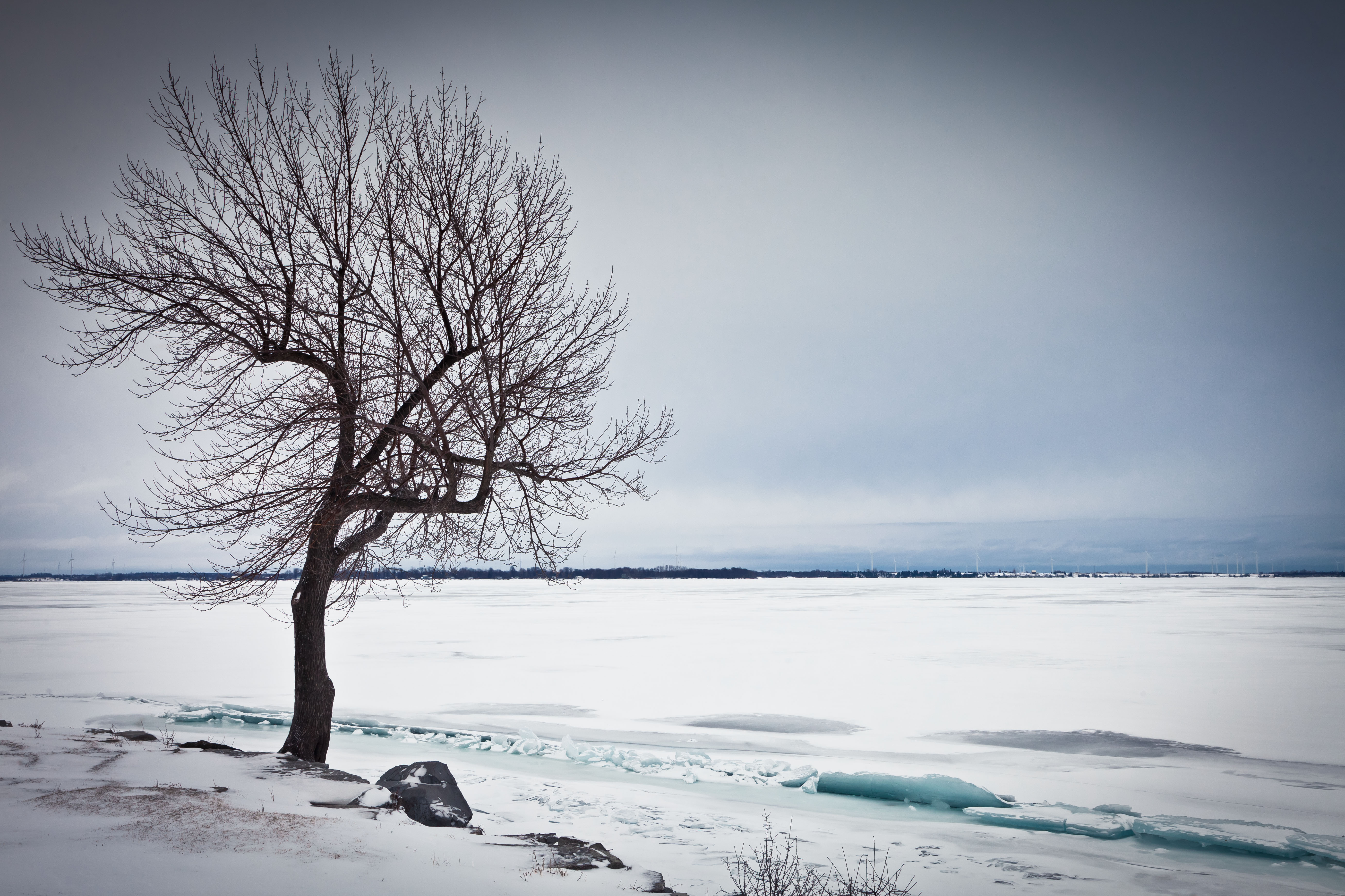 Free download wallpaper Winter, Snow, Lake, Wood, Tree, Nature, Ice on your PC desktop