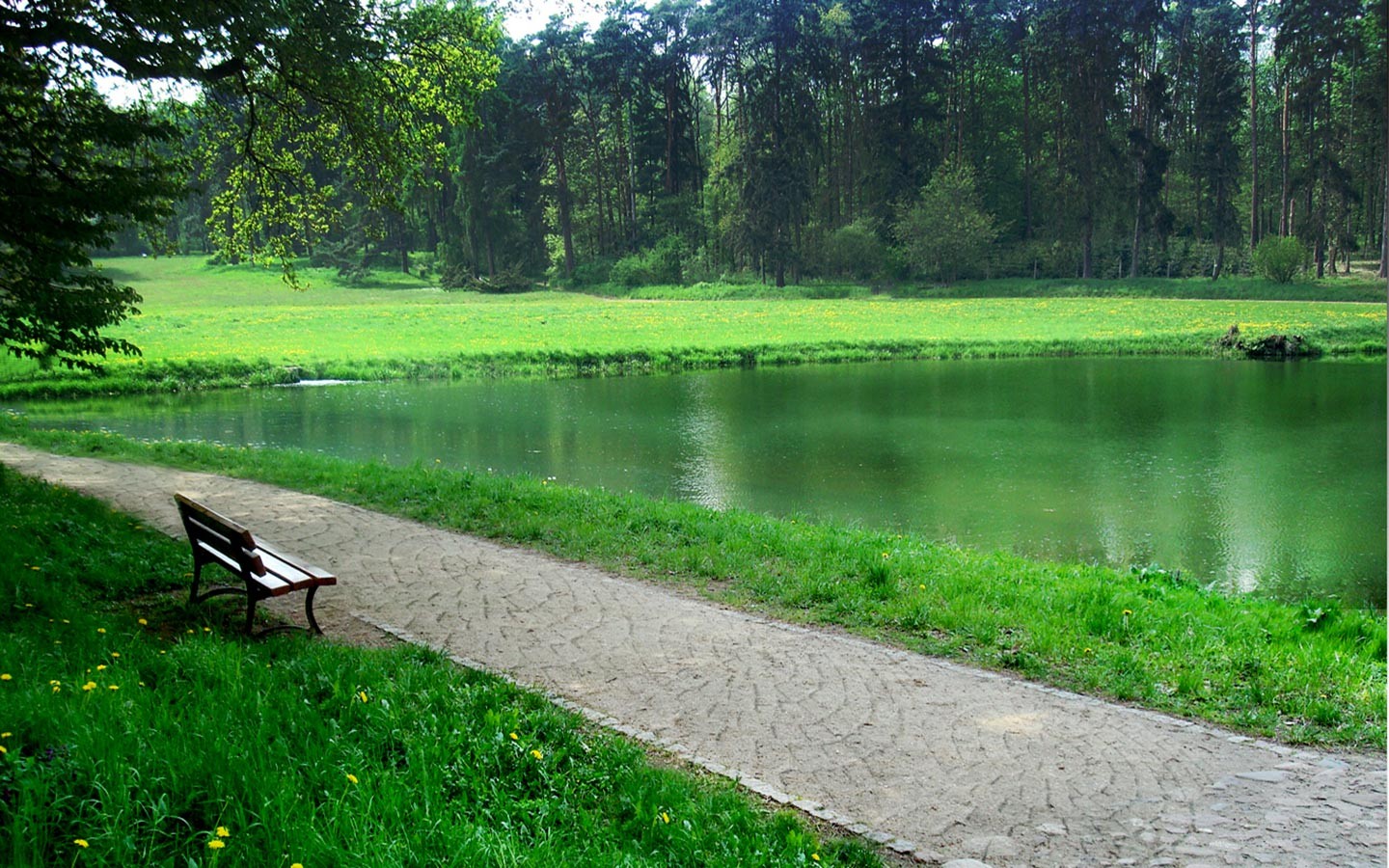 Скачати мобільні шпалери Природа, Озеро, Парк, Фотографія безкоштовно.