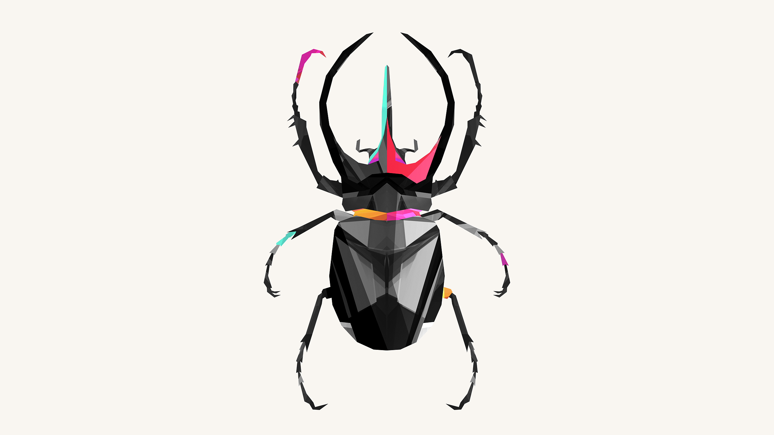 animal, artistic, beetle