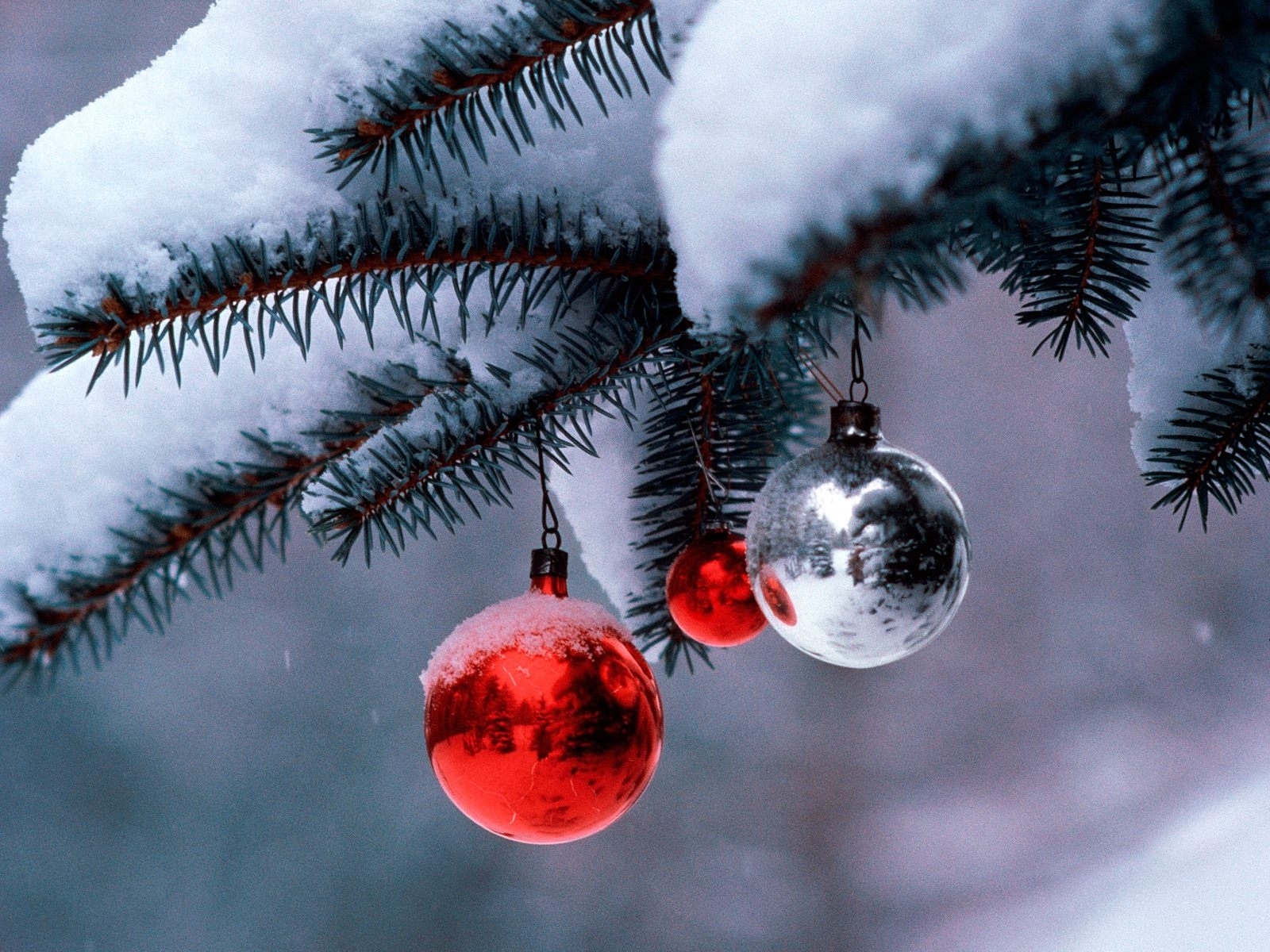 8734 скачать обои новый год (new year), праздники, снег, рождество (christmas xmas), синие, игрушки - заставки и картинки бесплатно
