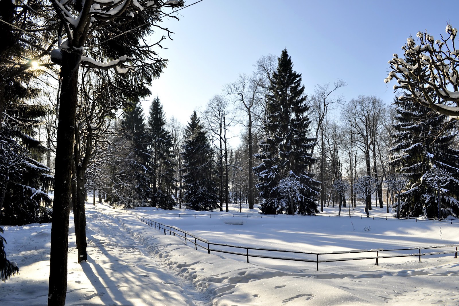 Скачать обои бесплатно Зима, Снег, Лес, Земля/природа картинка на рабочий стол ПК