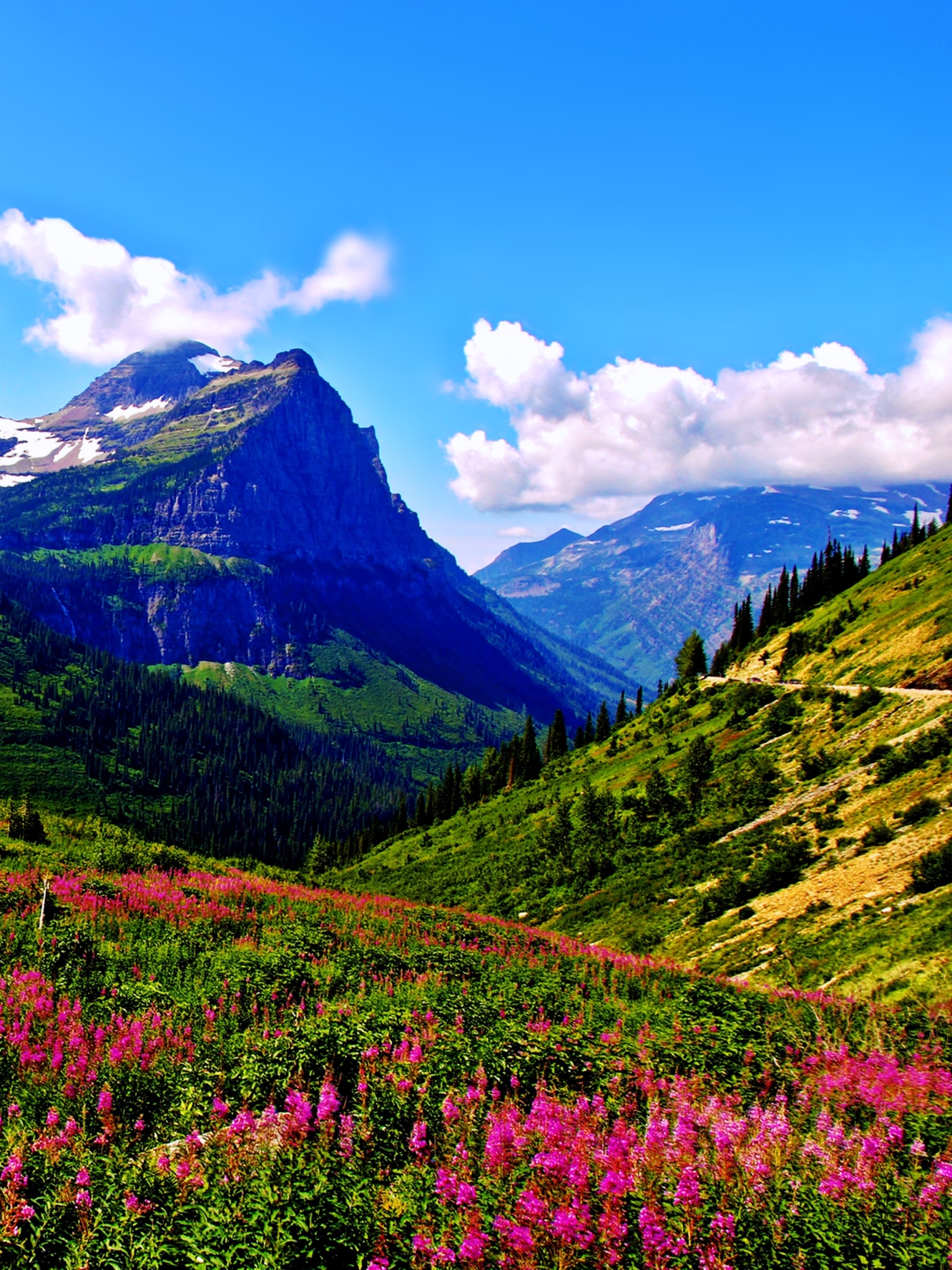 Скачать картинку Пейзаж, Природа, Гора, Цветок, Весна, Земля/природа в телефон бесплатно.