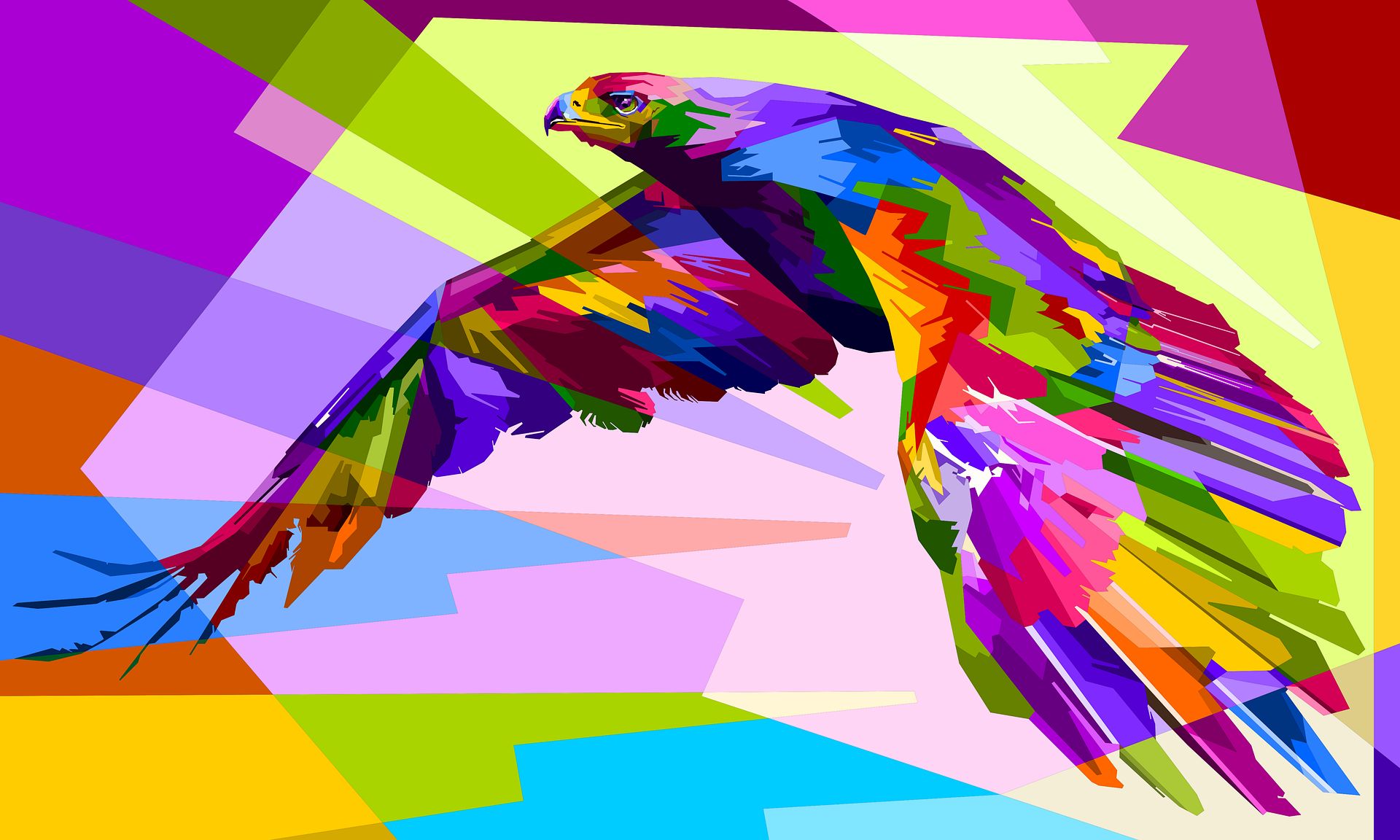 434901 descargar fondo de pantalla animales, águila, ave, vistoso, colores, geometría, aves: protectores de pantalla e imágenes gratis