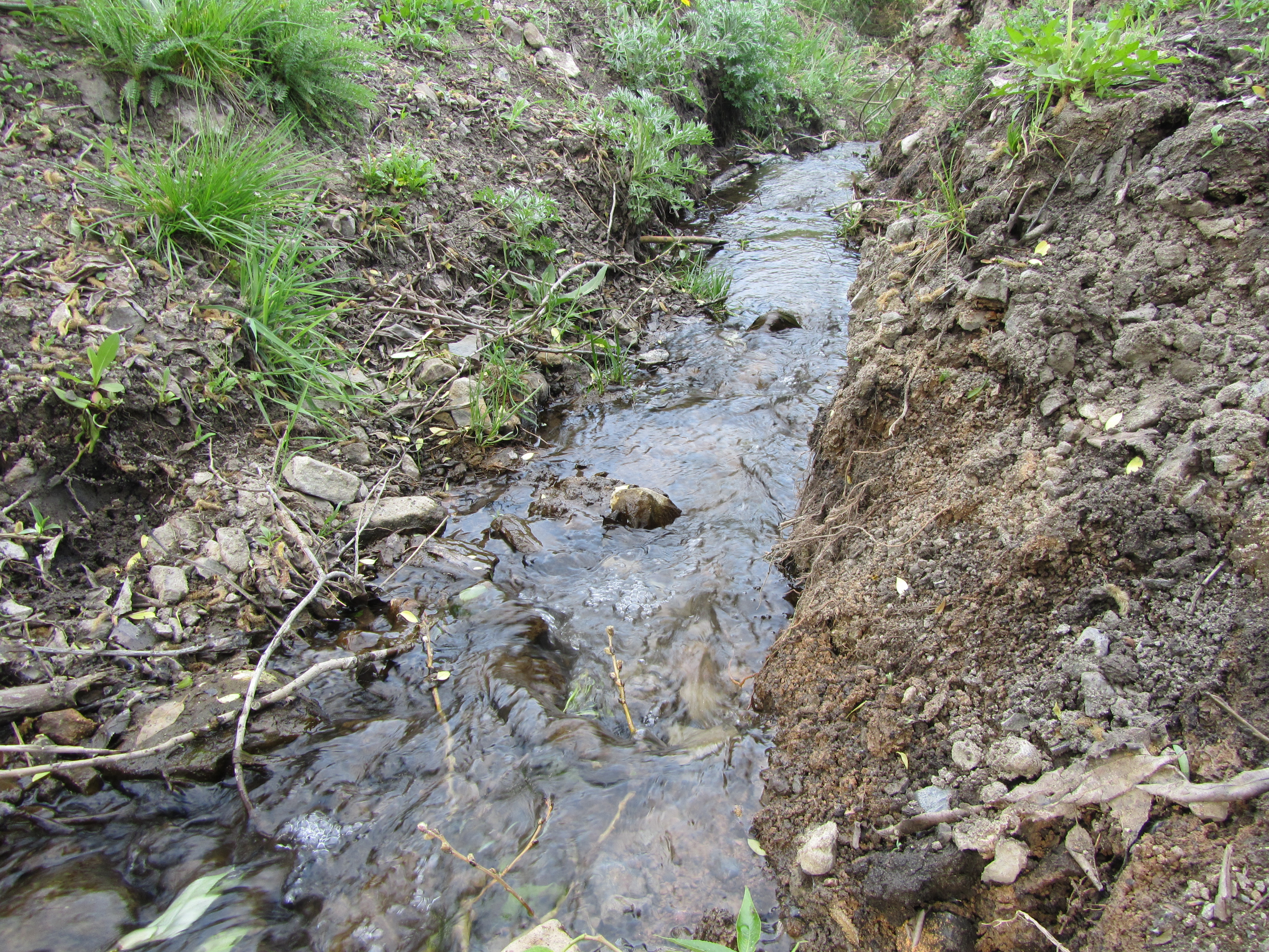 Descarga gratis la imagen Chorro, Tierra/naturaleza en el escritorio de tu PC