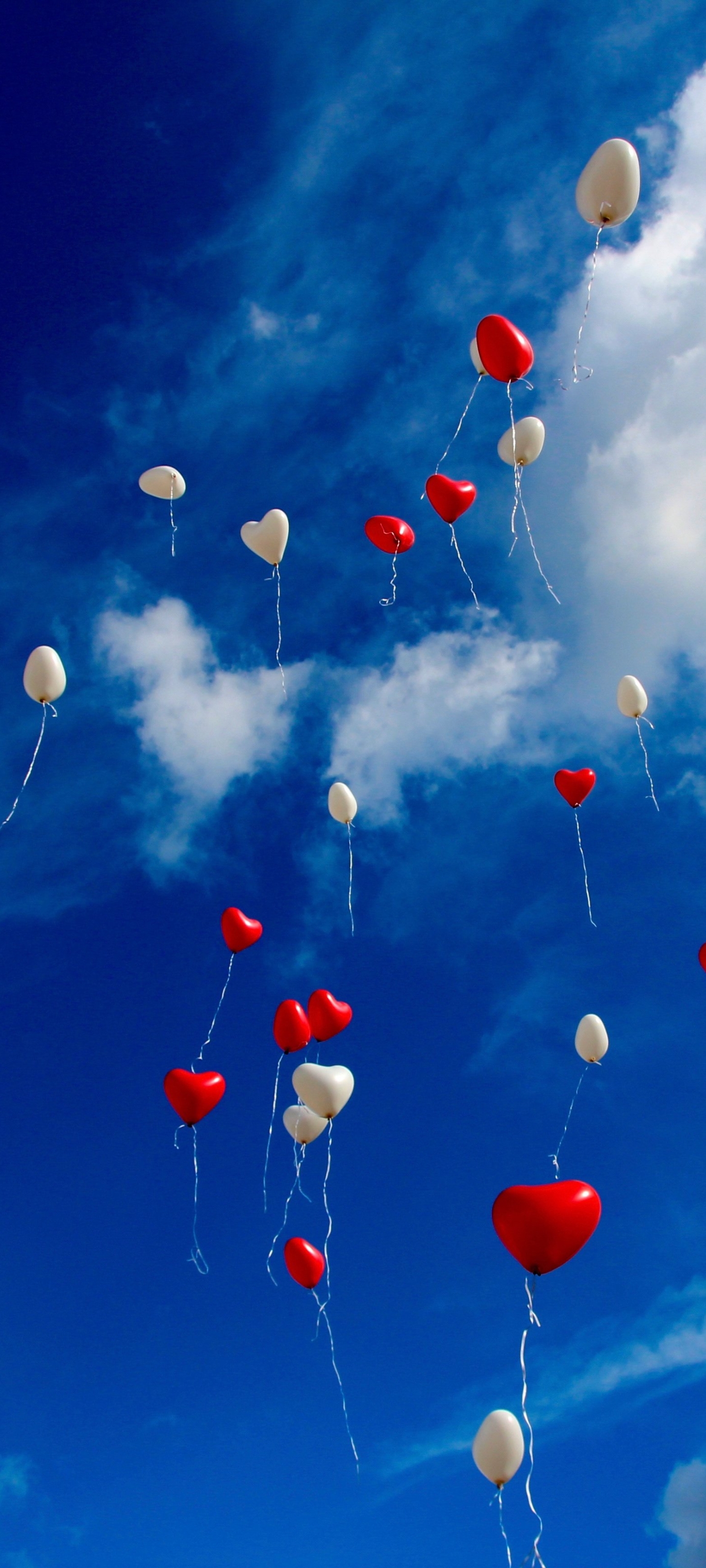 Téléchargez des papiers peints mobile Ballon, Photographie gratuitement.