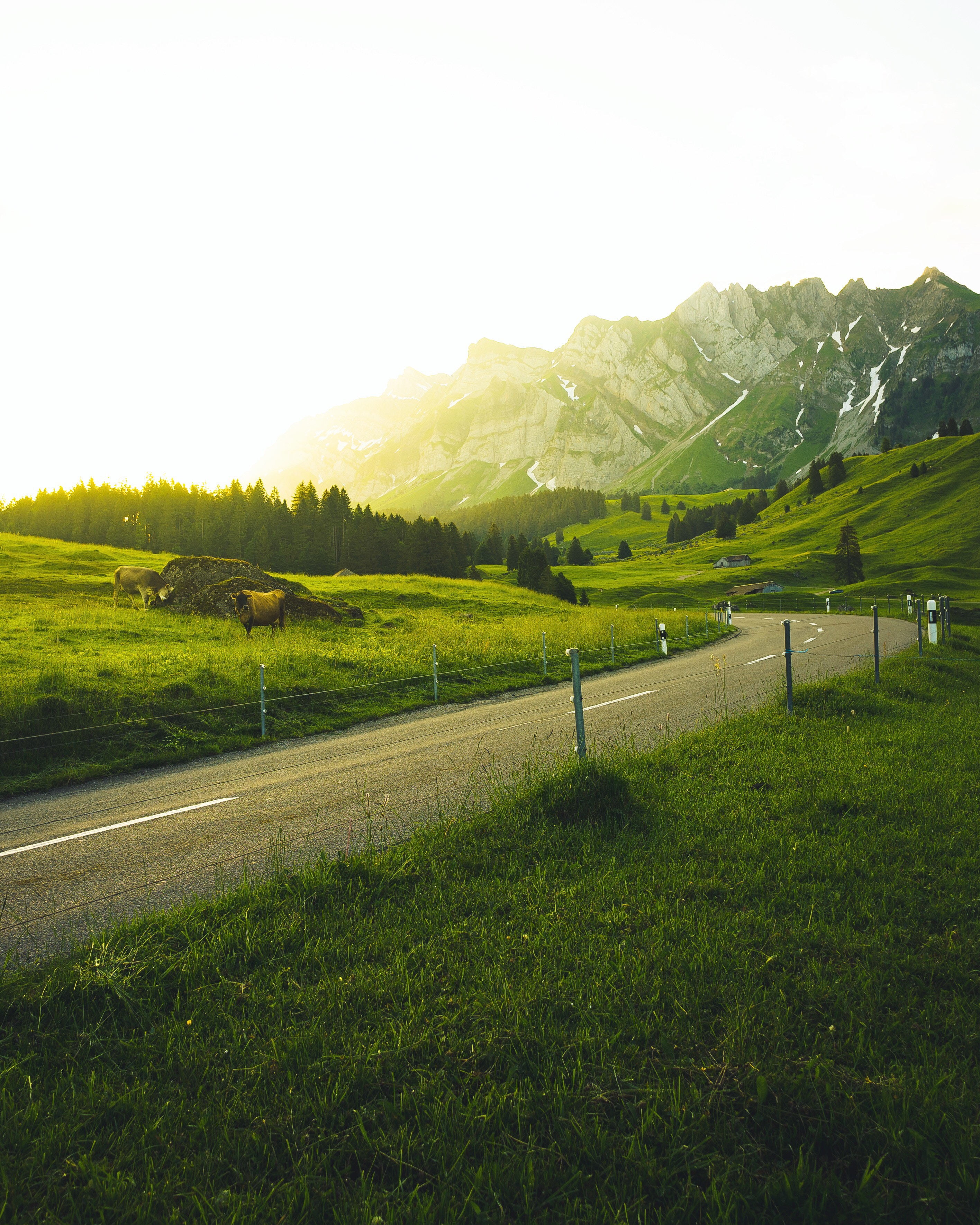 103127 завантажити картинку швейцарія, пейзаж, природа, дерева, трава, гори, дорога, сонячне світло, сонячного світла - шпалери і заставки безкоштовно