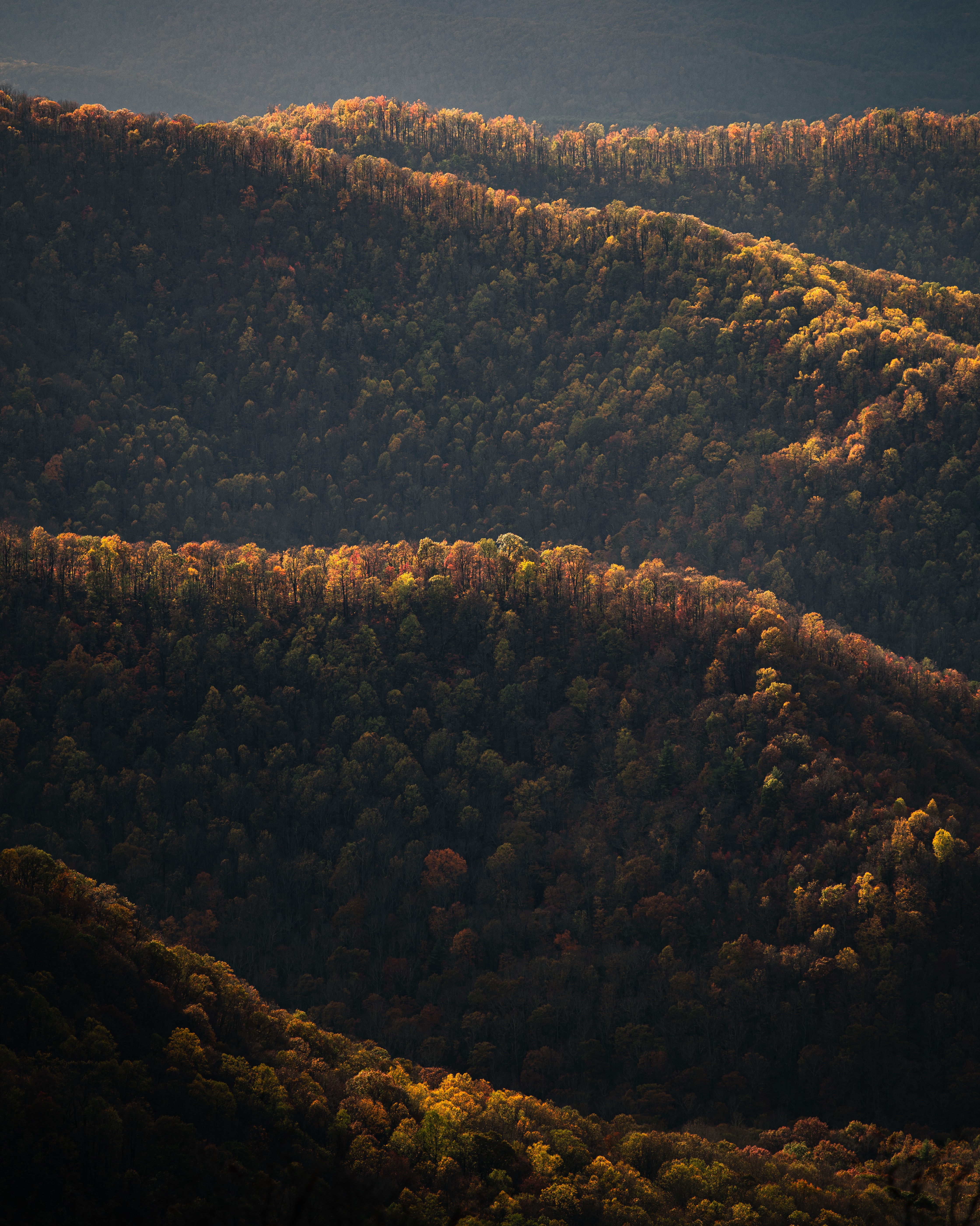 Download mobile wallpaper Forest, View From Above, Nature, Hills for free.