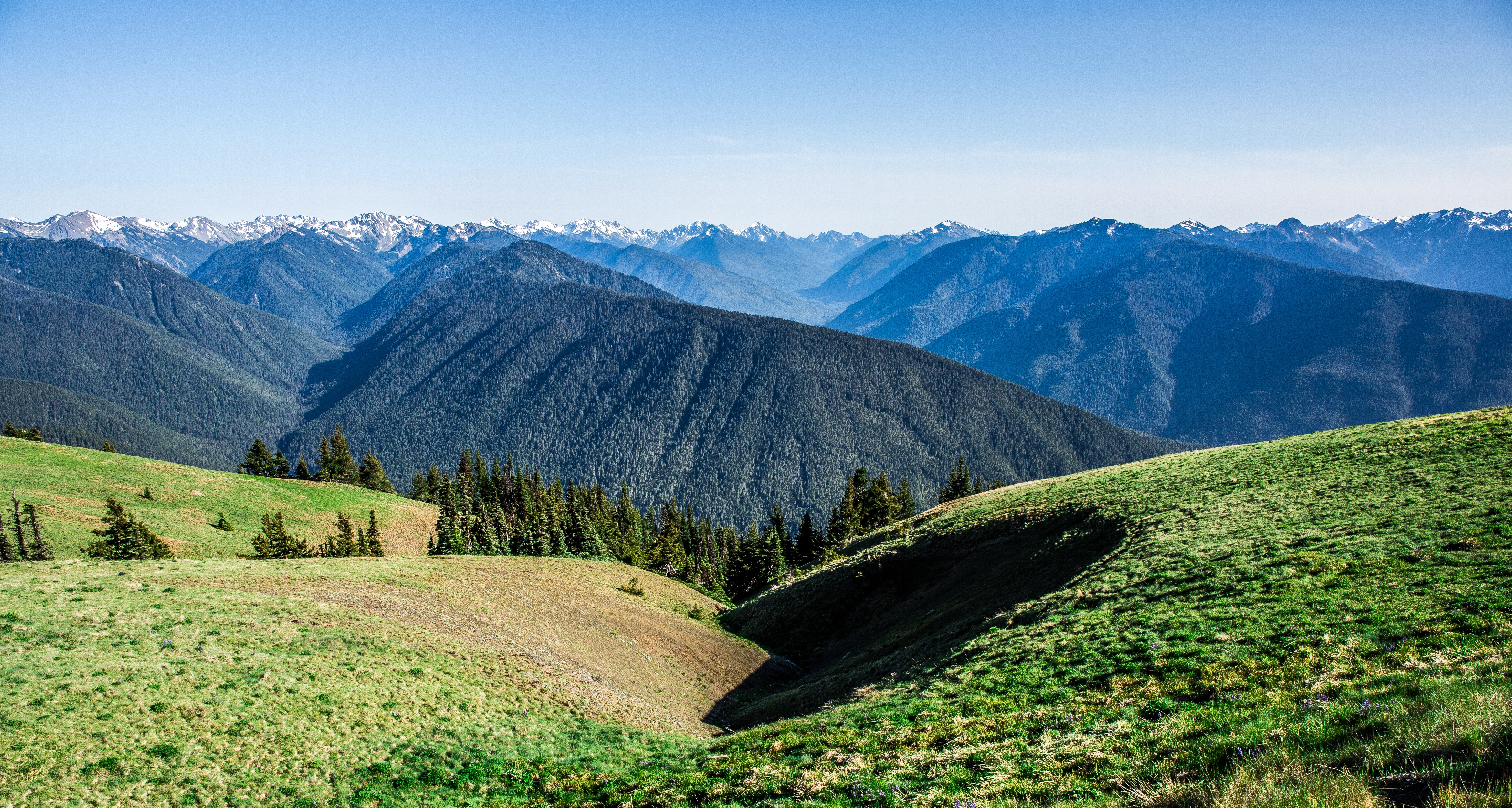 Laden Sie das Natur, Grass, Mountains, Feld, Sommer-Bild kostenlos auf Ihren PC-Desktop herunter