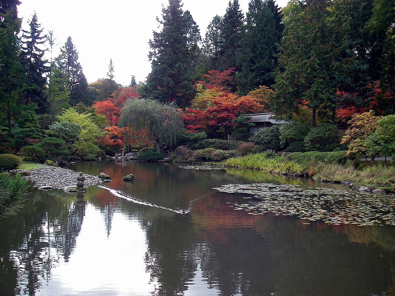 PCデスクトップに公園, 写真撮影画像を無料でダウンロード