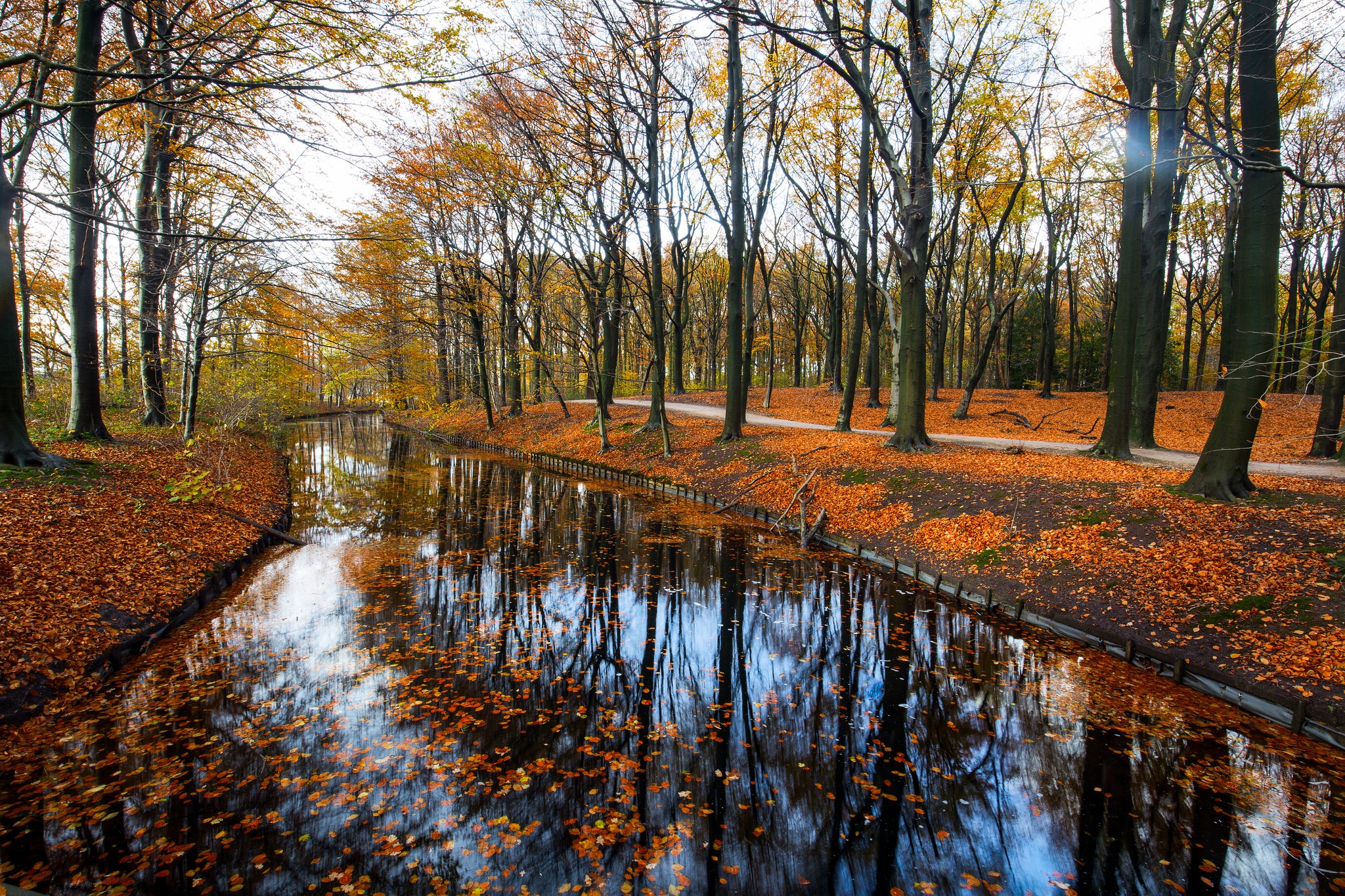 Handy-Wallpaper Herbst, Park, Baum, Fluss, Erde/natur, Spiegelung kostenlos herunterladen.