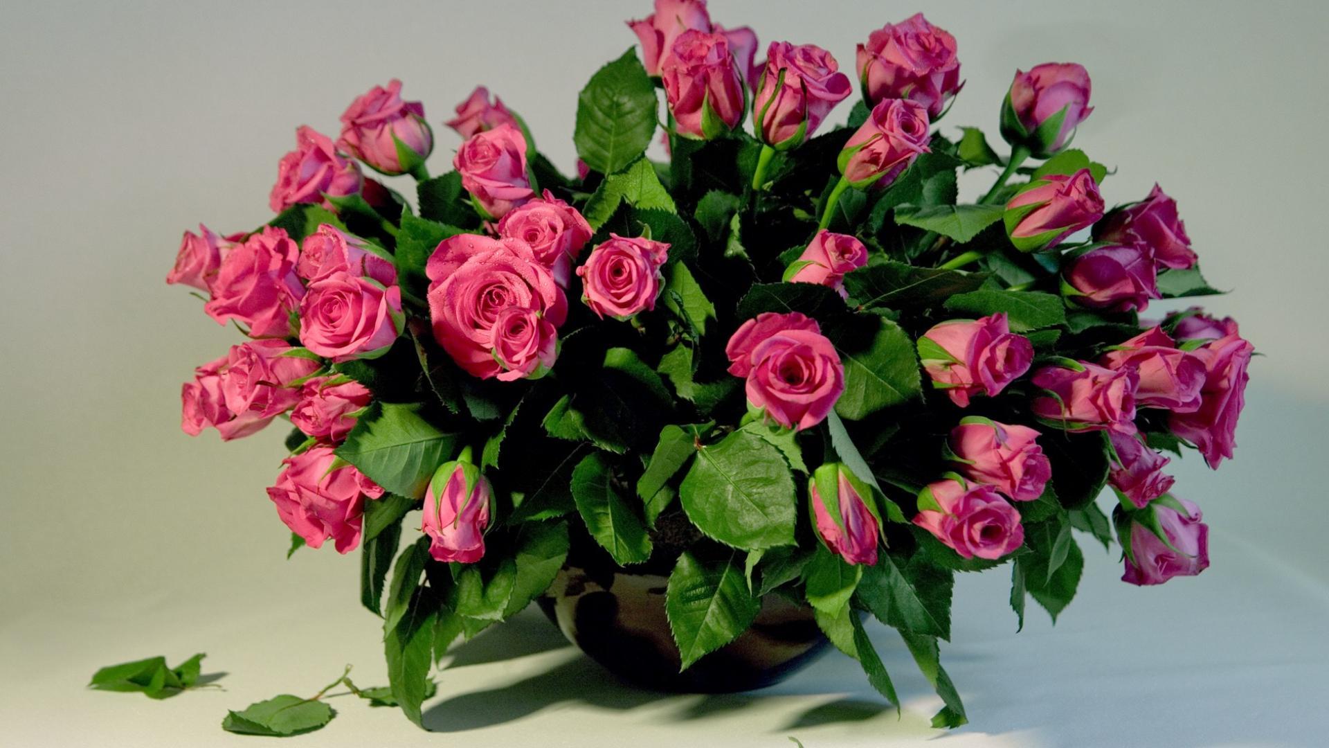 Free download wallpaper Plants, Roses, Bouquets on your PC desktop