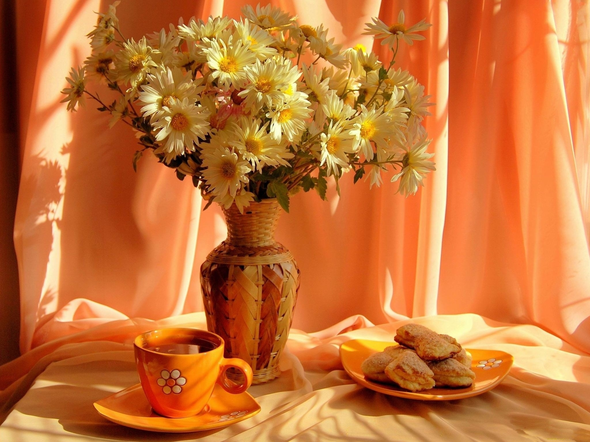photography, still life, cookie, cup, daisy, flower, plate, vase