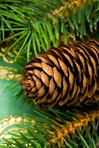 Download mobile wallpaper Christmas, Holiday, Pine Cone for free.