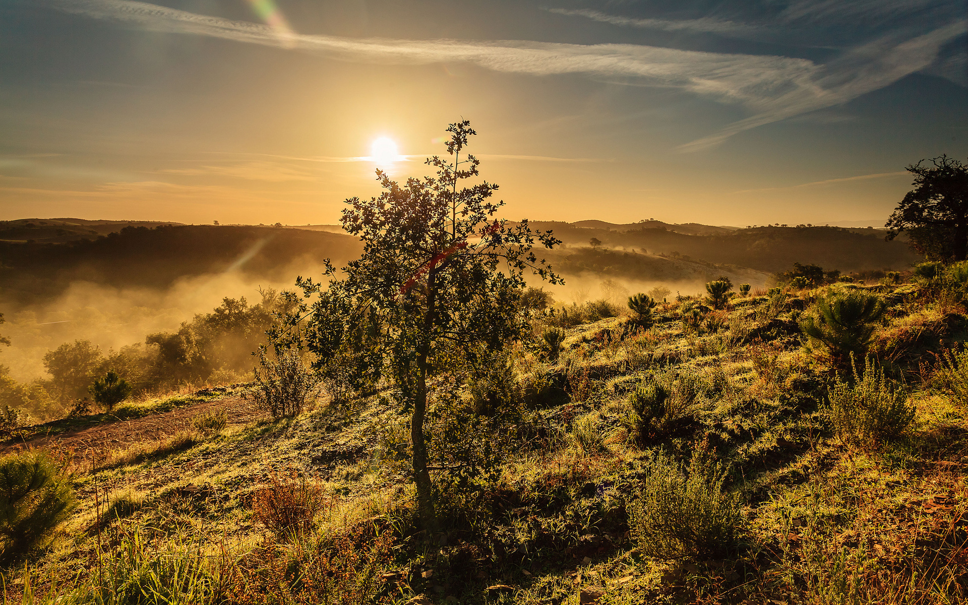 Descarga gratuita de fondo de pantalla para móvil de Paisaje, Tierra/naturaleza.