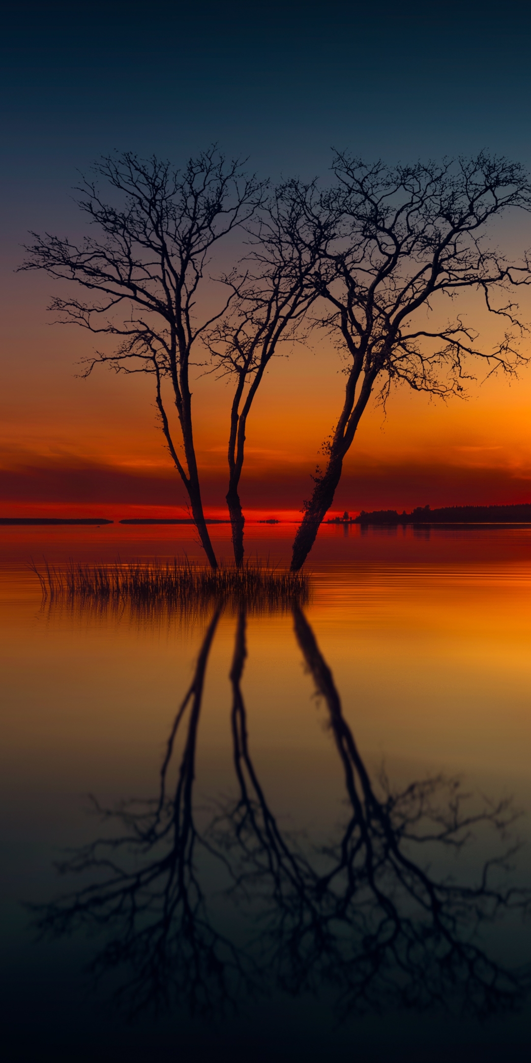 Download mobile wallpaper Nature, Sunset, Horizon, Reflection, Tree, Earth for free.