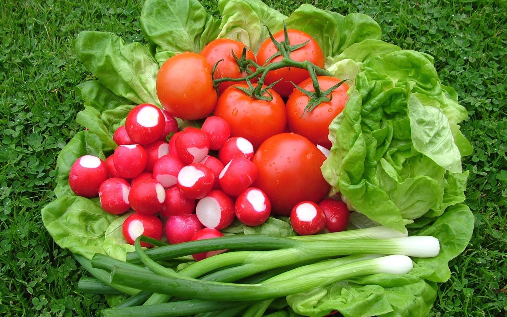 Laden Sie das Lebensmittel, Salat, Tomaten, Zwiebel, Redick-Bild kostenlos auf Ihren PC-Desktop herunter