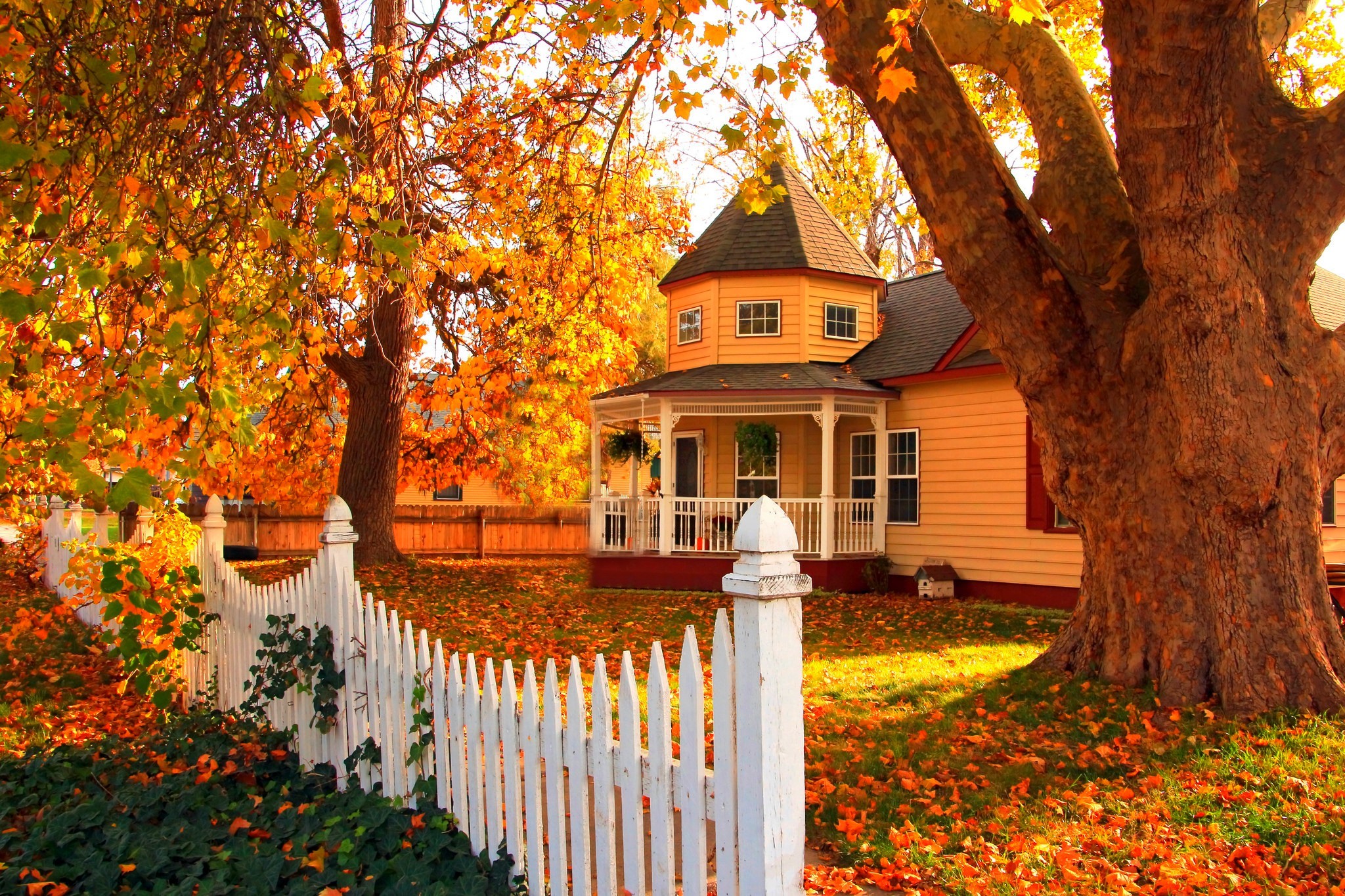 Handy-Wallpaper Herbst, Architektur, Baum, Blatt, Haus, Zaun, Menschengemacht, Orange Farbe) kostenlos herunterladen.