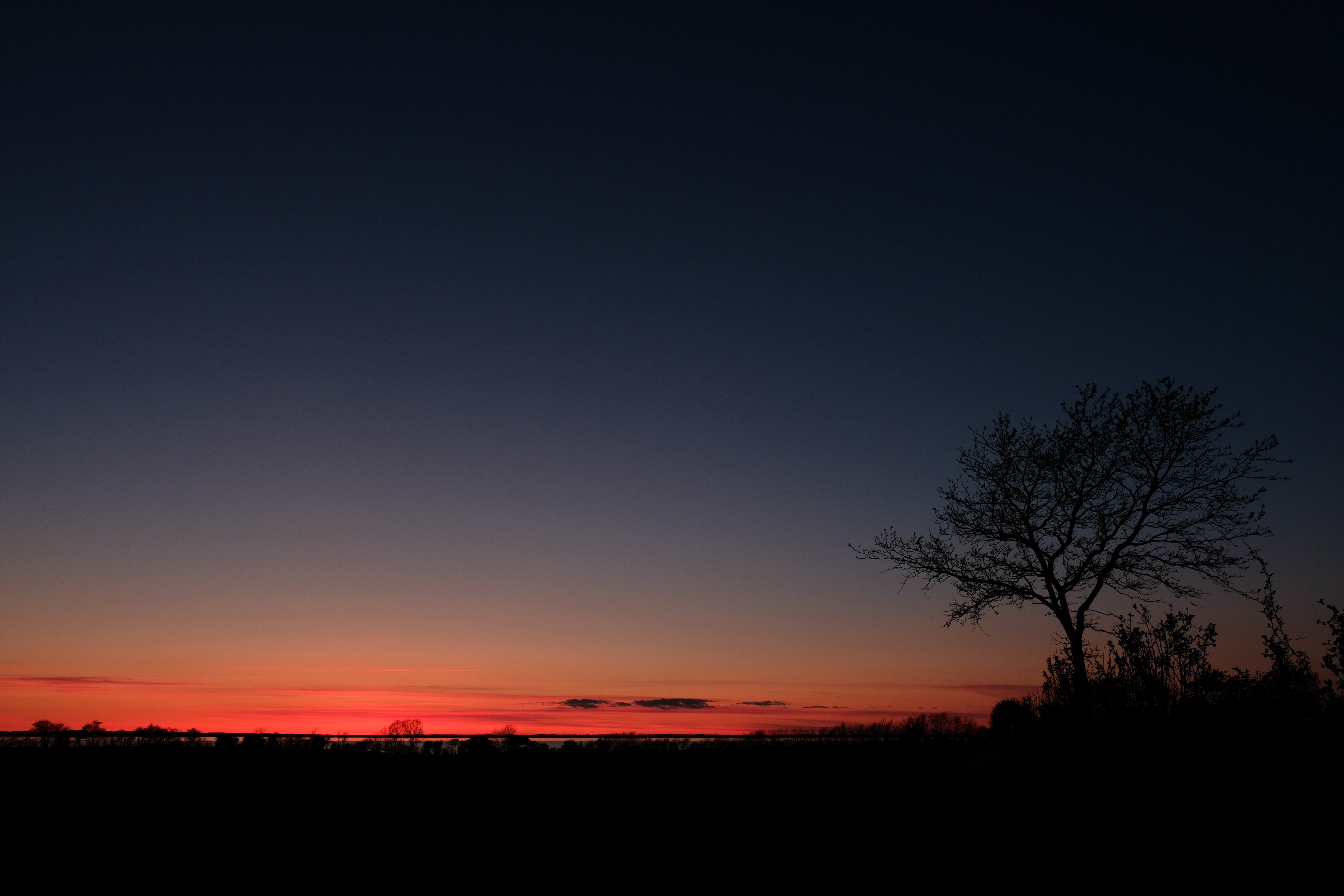Handy-Wallpaper Sunset, Sky, Horizont, Übernachtung, Holz, Baum, Dunkel kostenlos herunterladen.