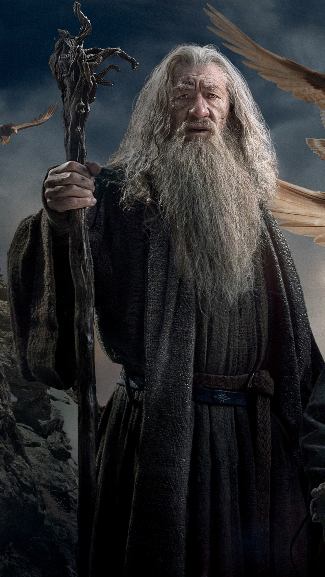 Descarga gratuita de fondo de pantalla para móvil de El Señor De Los Anillos, Barba, Películas, Gandalf, Señor De Los Anillos, El Hobbit: La Batalla De Los Cinco Ejércitos.