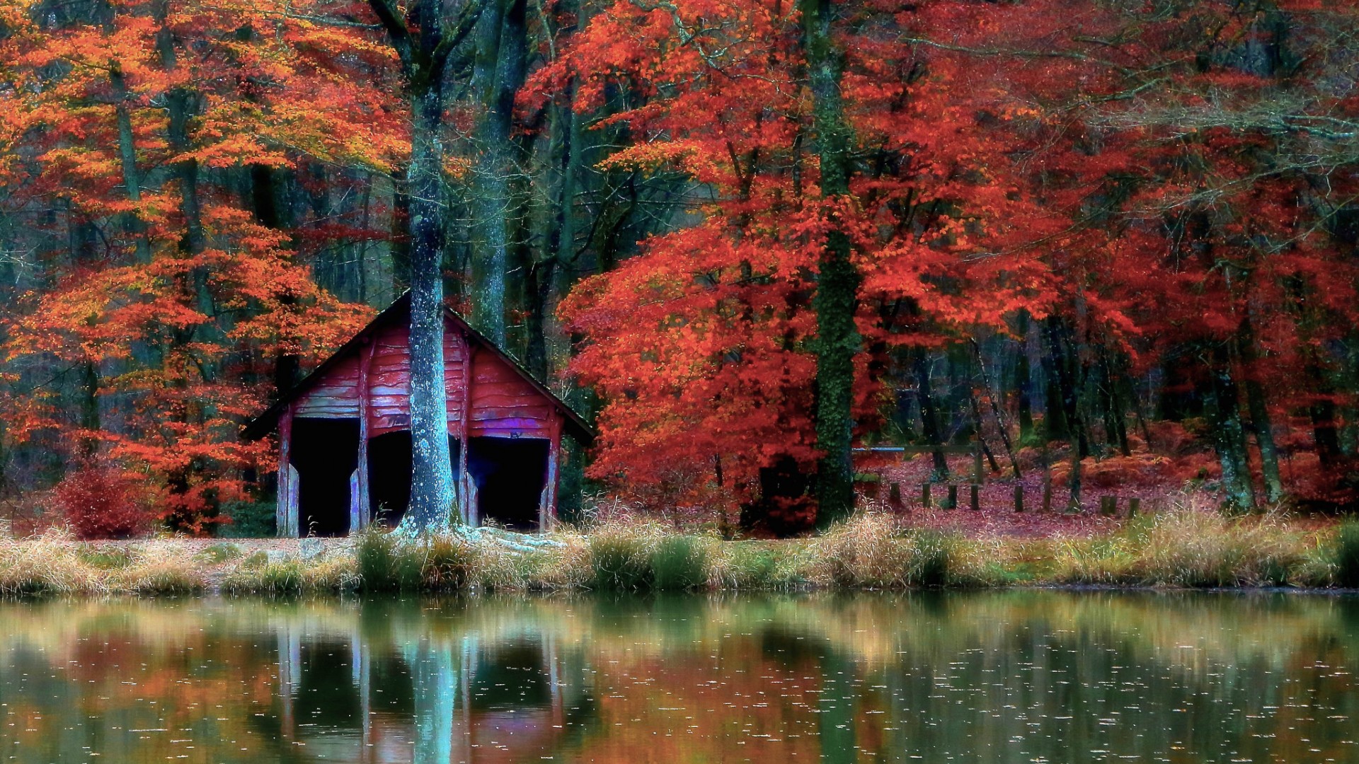 Laden Sie das Herbst, See, Wald, Hütte, Menschengemacht-Bild kostenlos auf Ihren PC-Desktop herunter