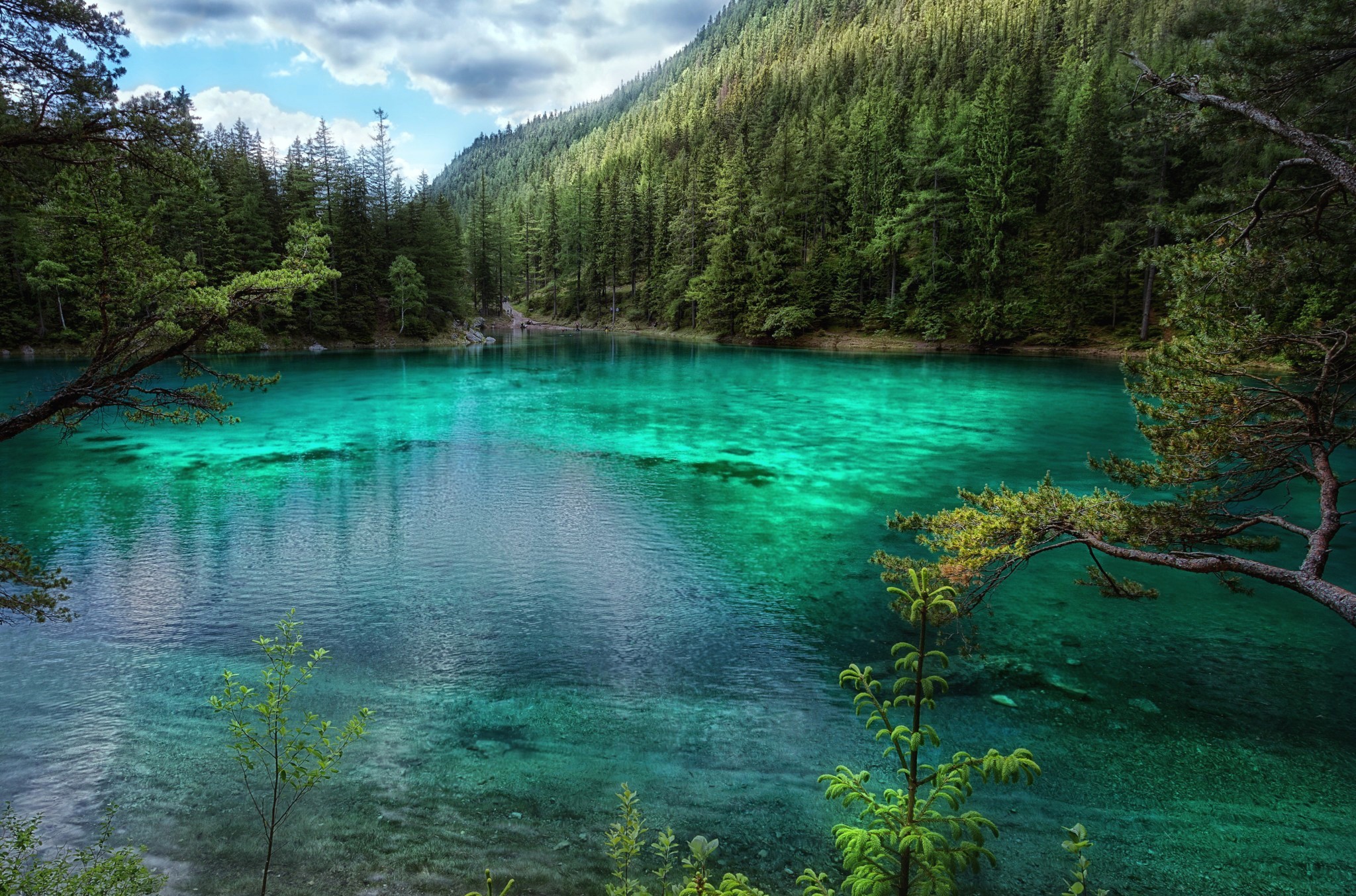 343540 descargar imagen lago, bosque, tierra/naturaleza, austria, lagos: fondos de pantalla y protectores de pantalla gratis