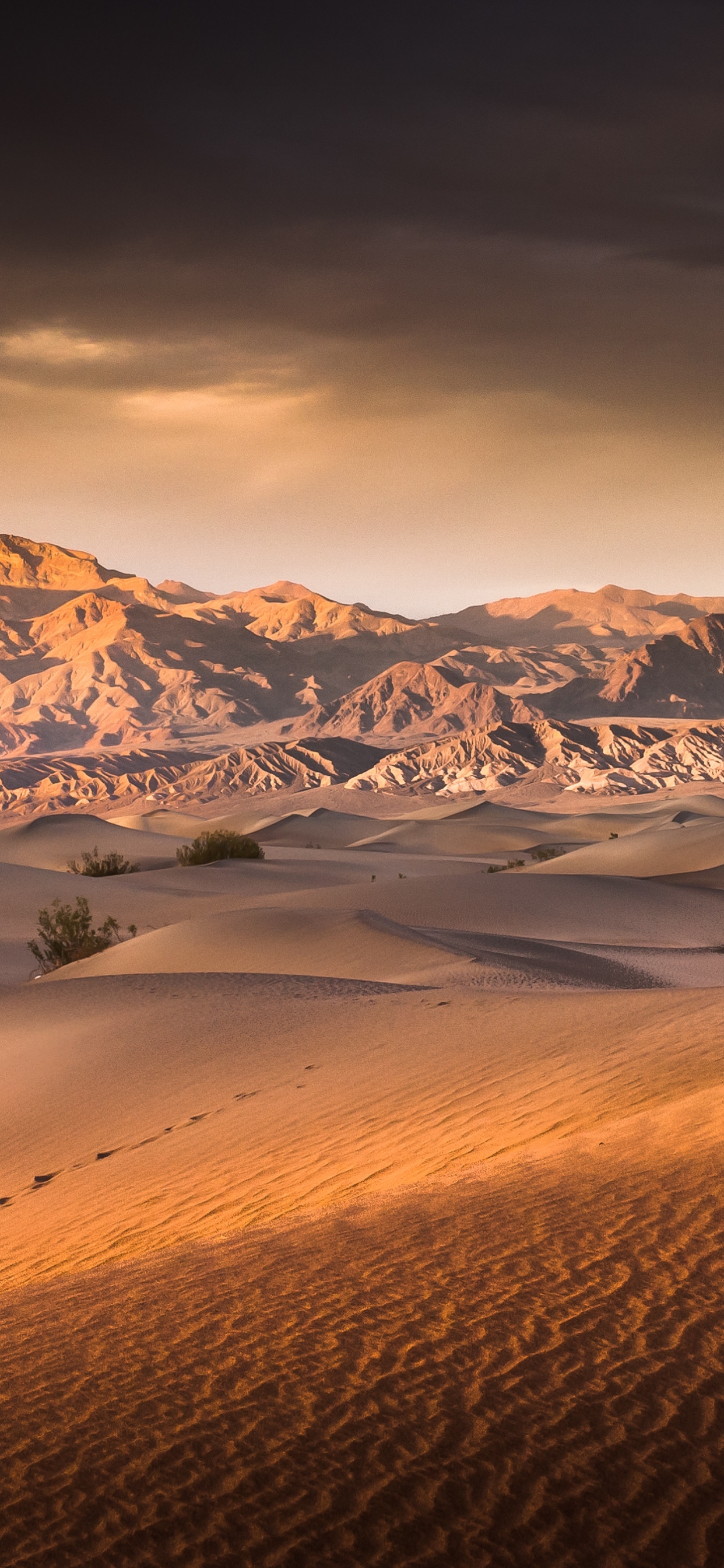 Download mobile wallpaper Landscape, Nature, Sand, Desert, Earth, Dune for free.