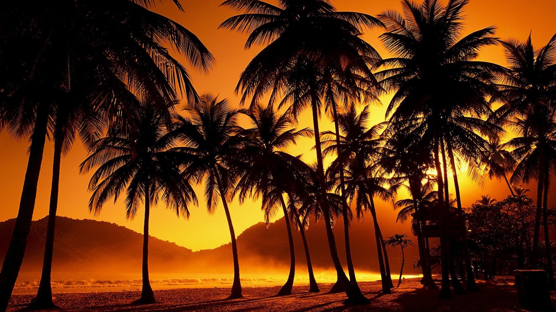 Скачать картинку Пальма, Тропики, Земля/природа, Закат Солнца в телефон бесплатно.