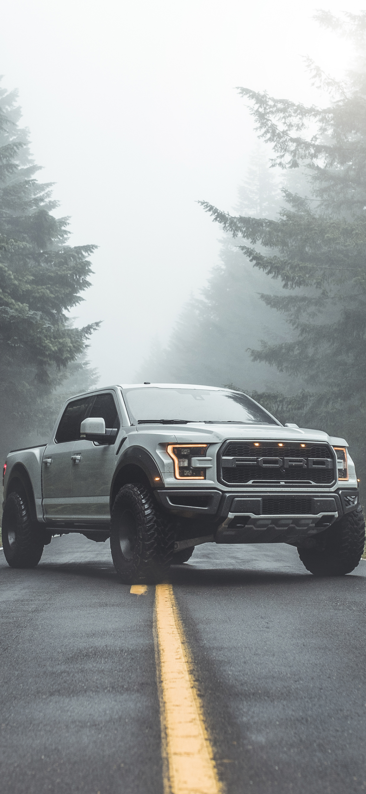 Download mobile wallpaper Ford, Ford Raptor, Vehicles, Silver Car for free.
