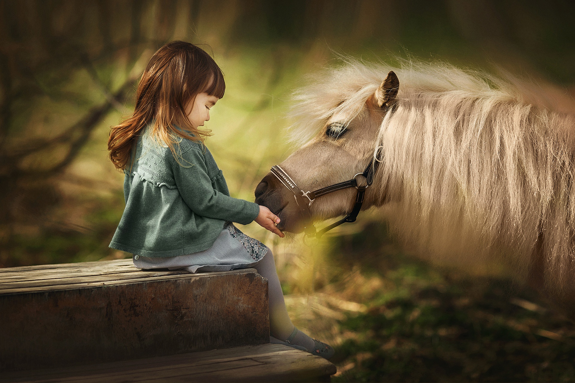 Free download wallpaper Child, Horse, Brunette, Photography, Little Girl on your PC desktop