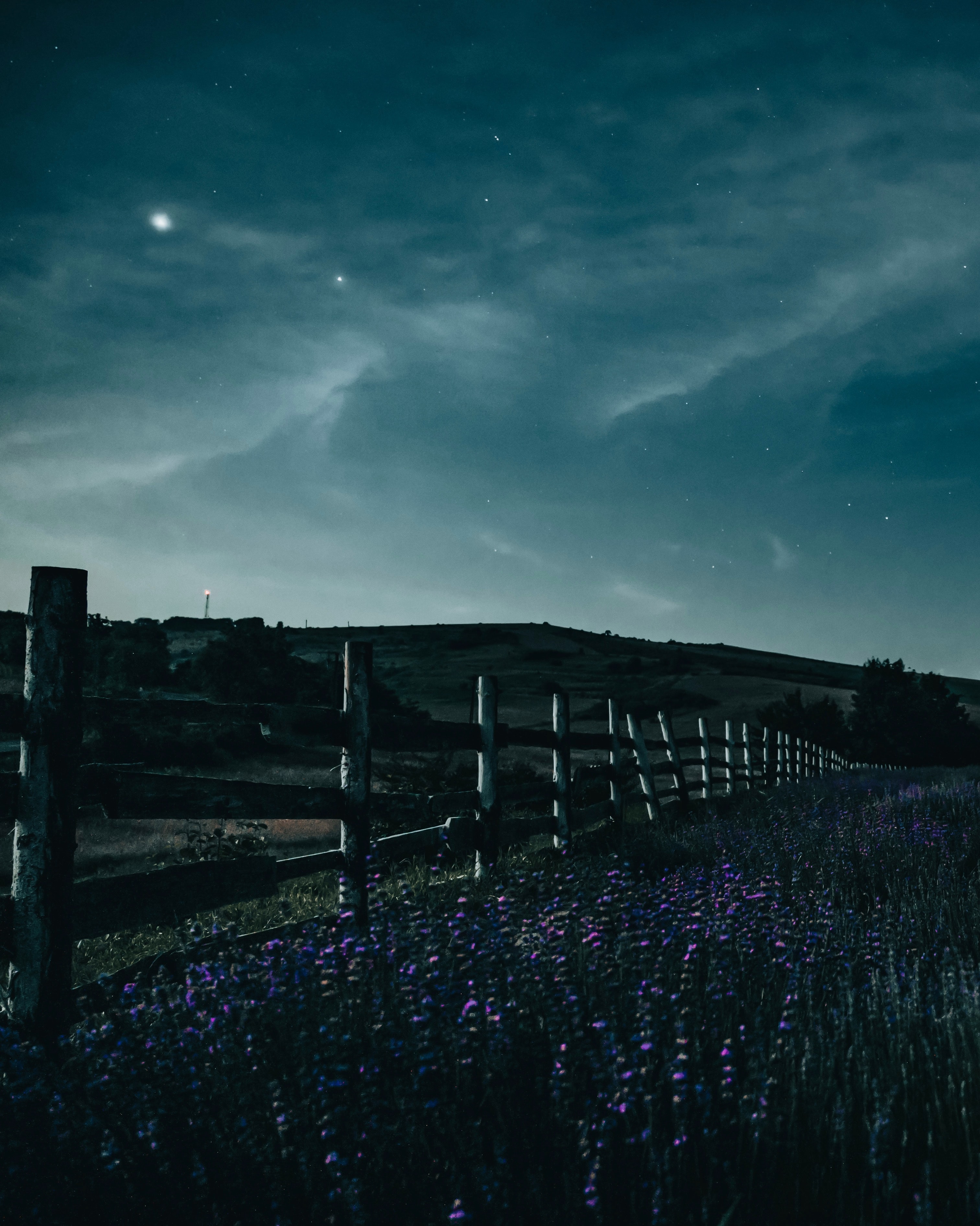 Free download wallpaper Nature, Flowers, Starry Sky, Fence, Night on your PC desktop