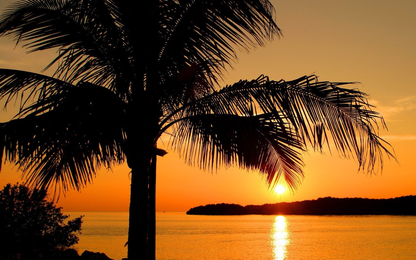 Free download wallpaper Landscape, Trees, Sunset, Sun, Palms on your PC desktop